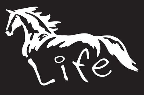 Western Cowboy Cowgirl Horse Rodeo Vinyl Decal Sticker - White - 5.5