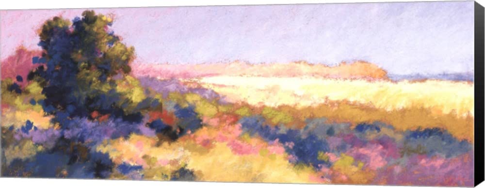 Richard McDaniel 'Glory in The Morning I' Canvas Wall Art - 20x8 Inches, Museum Wrapped with Black Sides - Perfect for Living Room, Bedroom & Office Decor