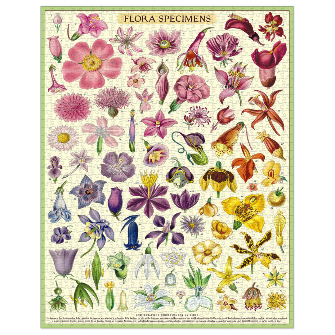 Flora Specimen 1000 Piece Jigsaw Puzzle - Botanical Educational Puzzle for Adults & Teens - Perfect for Relaxation, Home Decor & Family Game Night