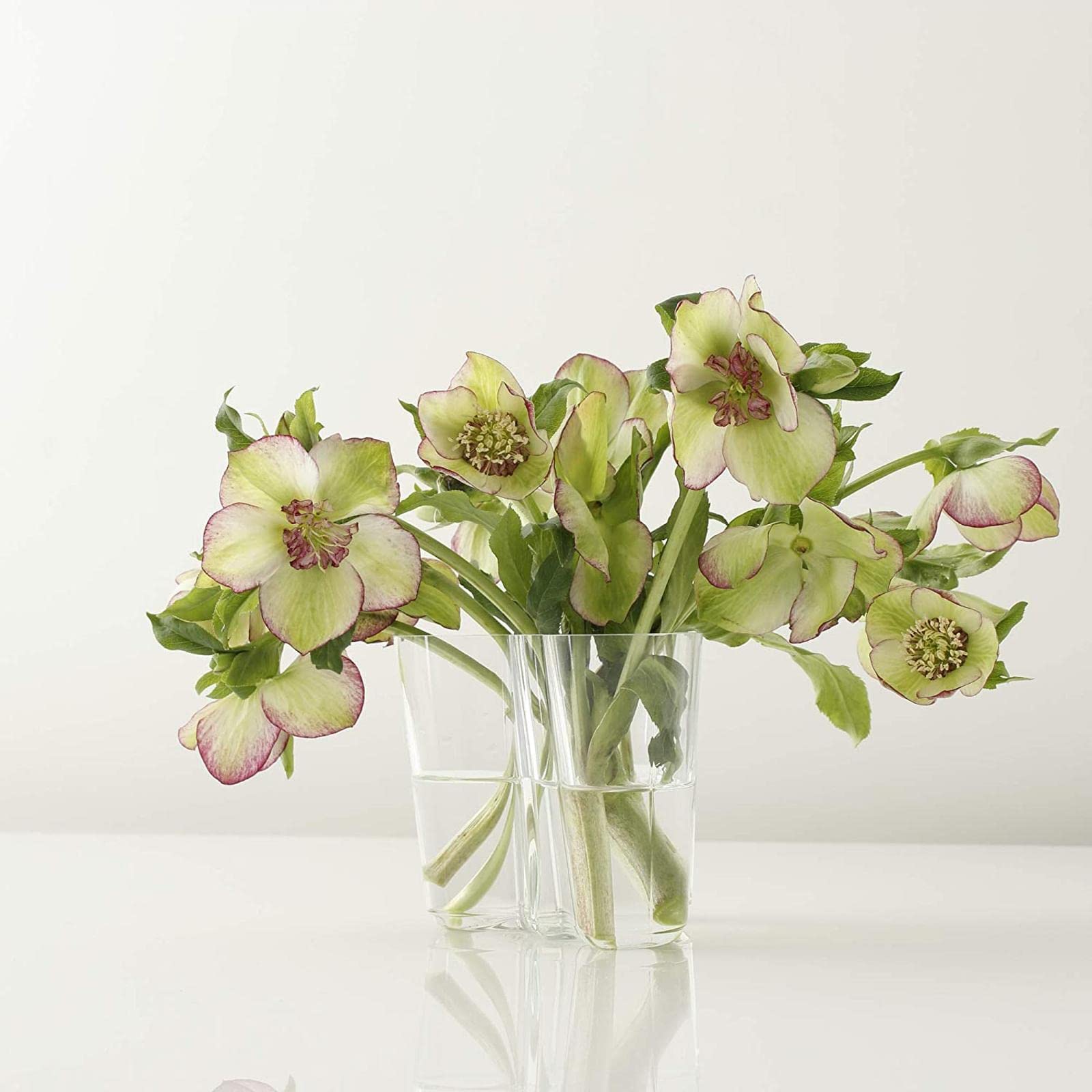 Iittala Alvar Aalto 95mm Clear Glass Vase - Modern Scandinavian Home Decor for Flowers & Centerpieces