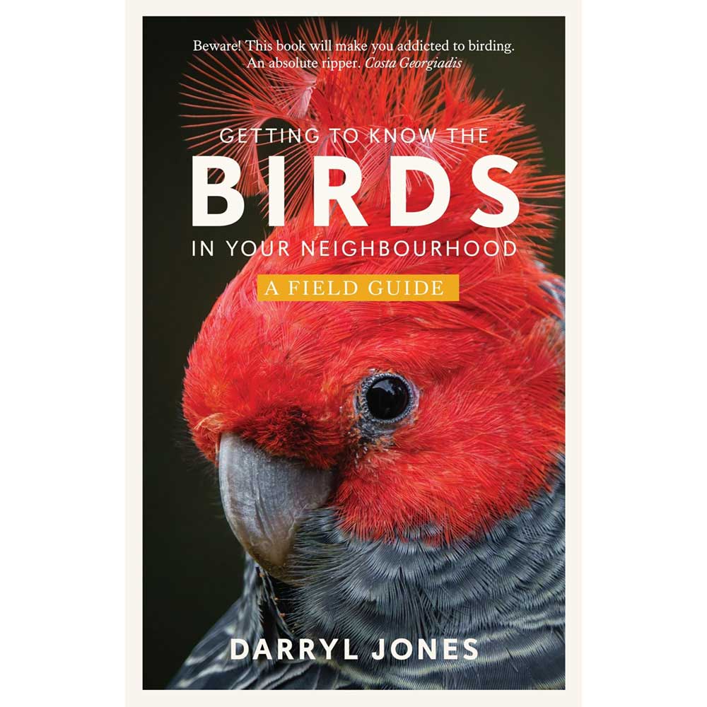 Discover & Identify Local Birds in Your Neighborhood – Birdwatching Guide for Beginners | Perfect for Backyard Birding, Hiking & Nature Exploration