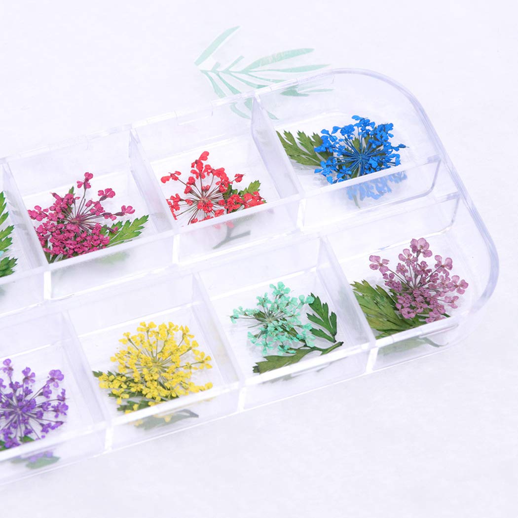 SOWUNO Dried Flower Nail Art Stones - 3D Nail Decorations & Jewel Accessories for DIY Manicure - Perfect for Wedding, Party, and Salon Nail Art Designs