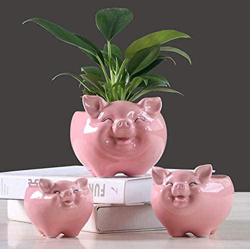 Novelty Pink Pig Ceramic Succulent Pots Set of 3 - Small Cactus Planters for Indoor Outdoor Home Garden & Kitchen Decor - Cute Flower Pots for Succulents, Herbs & Small Plants (No Plants Included) - Perfect for Windowsills, Office Desks & Gift Ideas