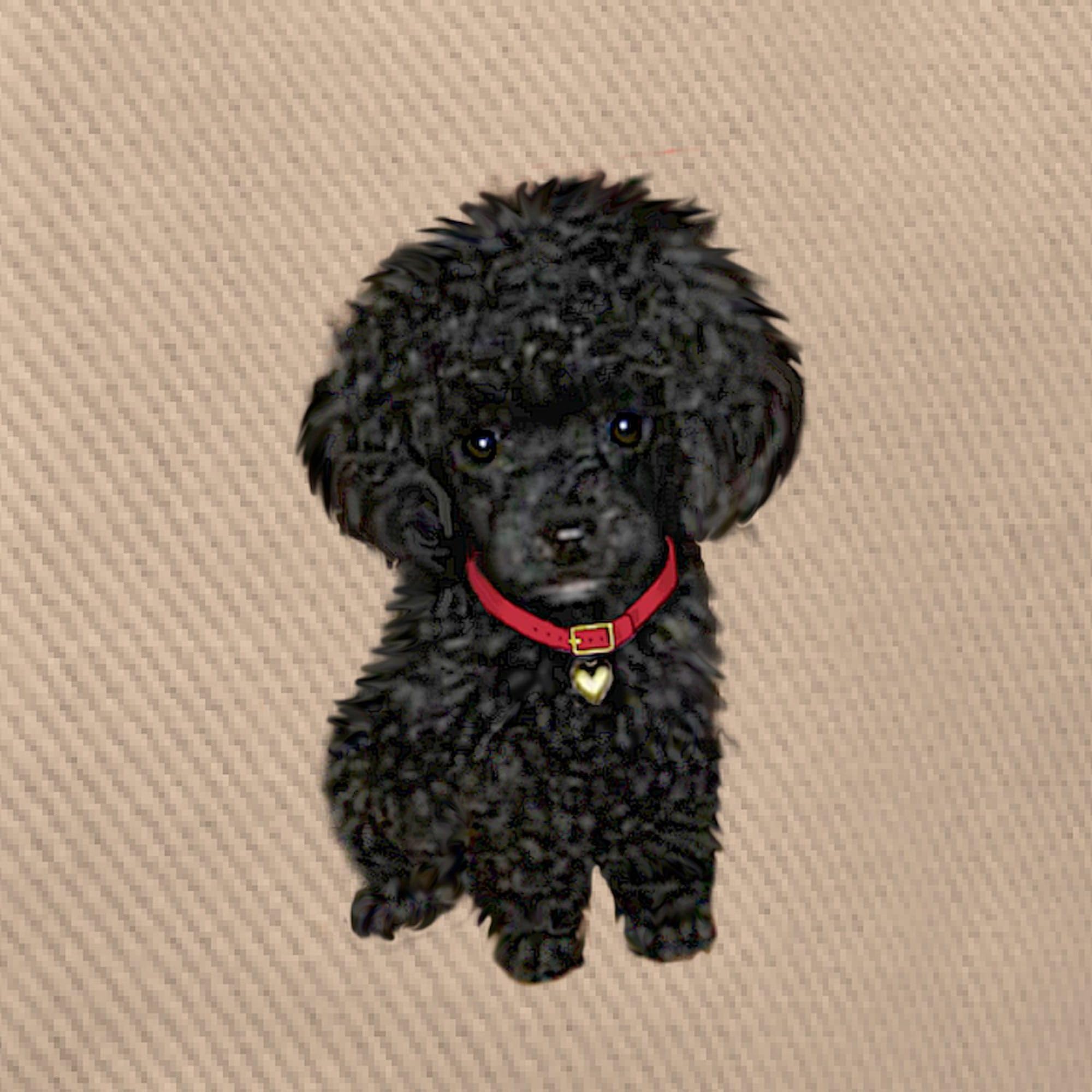 Poodle Baseball Cap - Adjustable Dog Hat for Outdoor & Casual Wear