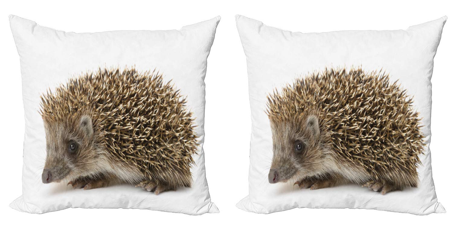 Ambesonne Hedgehog Throw Pillow Cover Set of 2 - 16
