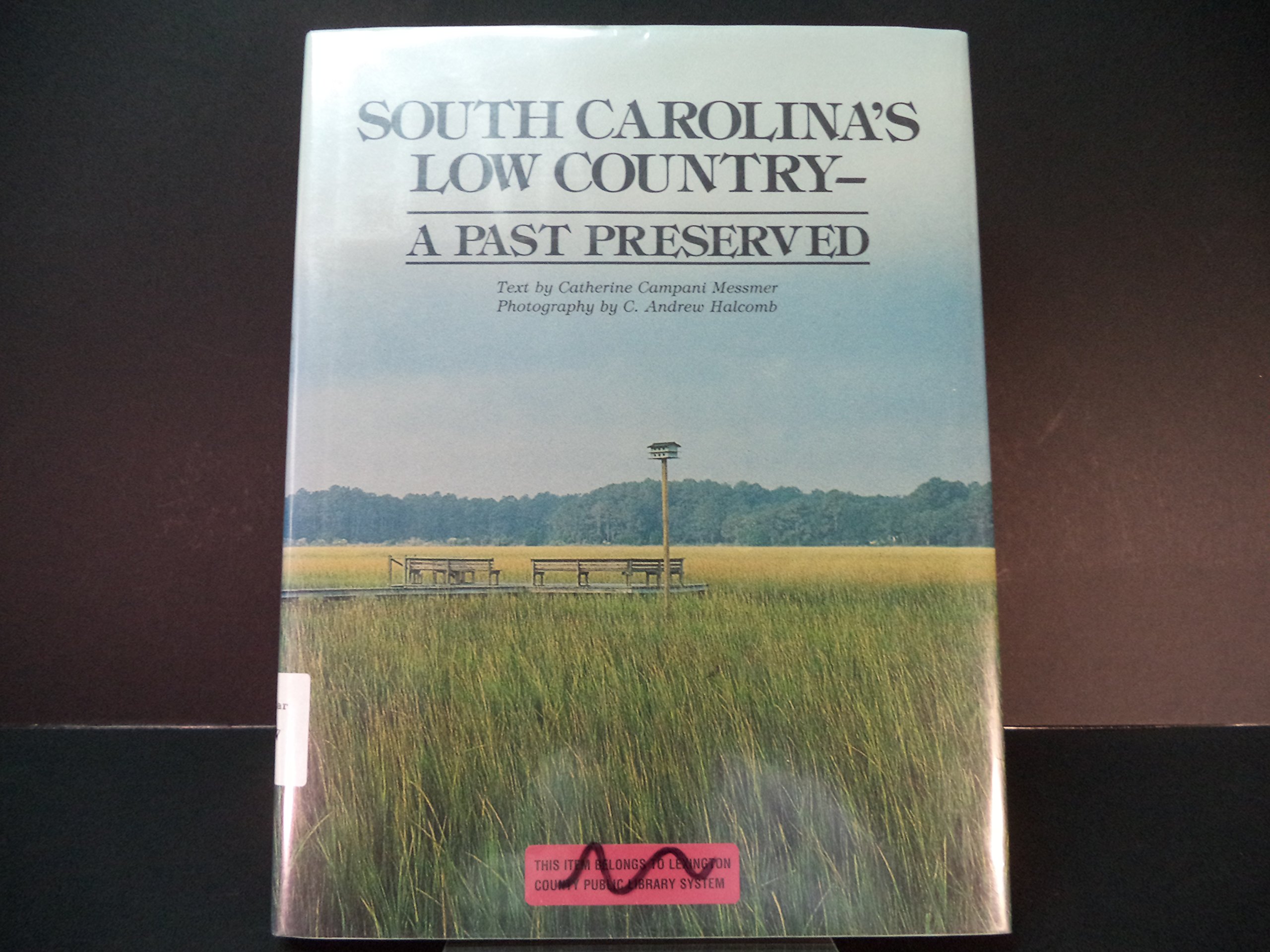 South Carolina Low Country: Explore the Historic Charm & Preserved Culture | Perfect for Travel & History Enthusiasts