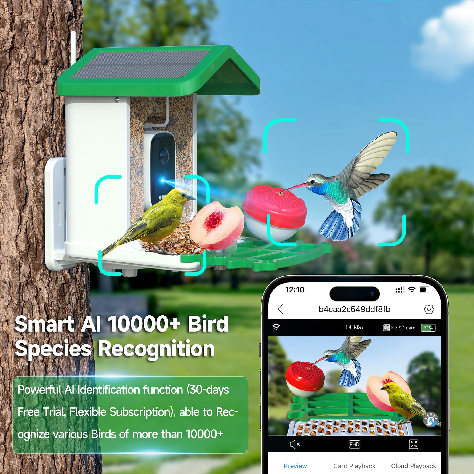Smart AI Bird Feeder with Camera - Solar Powered Wireless 1080P HD Bird Watching Camera with Auto Recording & Instant Notifications - Perfect for Backyard Bird Watching, Wildlife Monitoring & Nature Enthusiasts