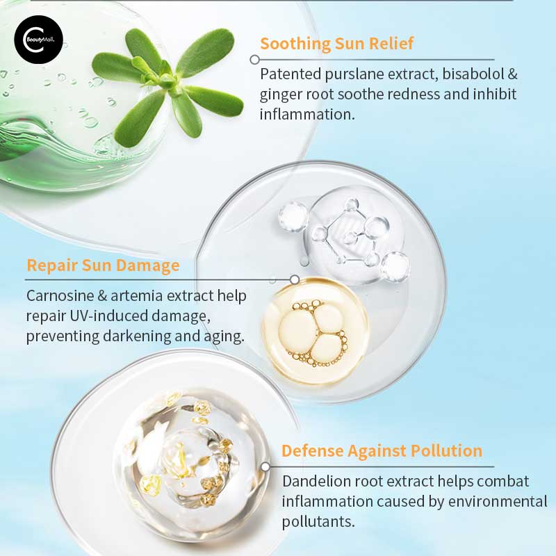 WINONA Lightweight Hydrating Sunscreen SPF 50 PA+++ for Face - Oil-Free, Non-Greasy Daily Moisturizer with Broad Spectrum Protection | Perfect for Outdoor Activities, Beach & Daily Wear