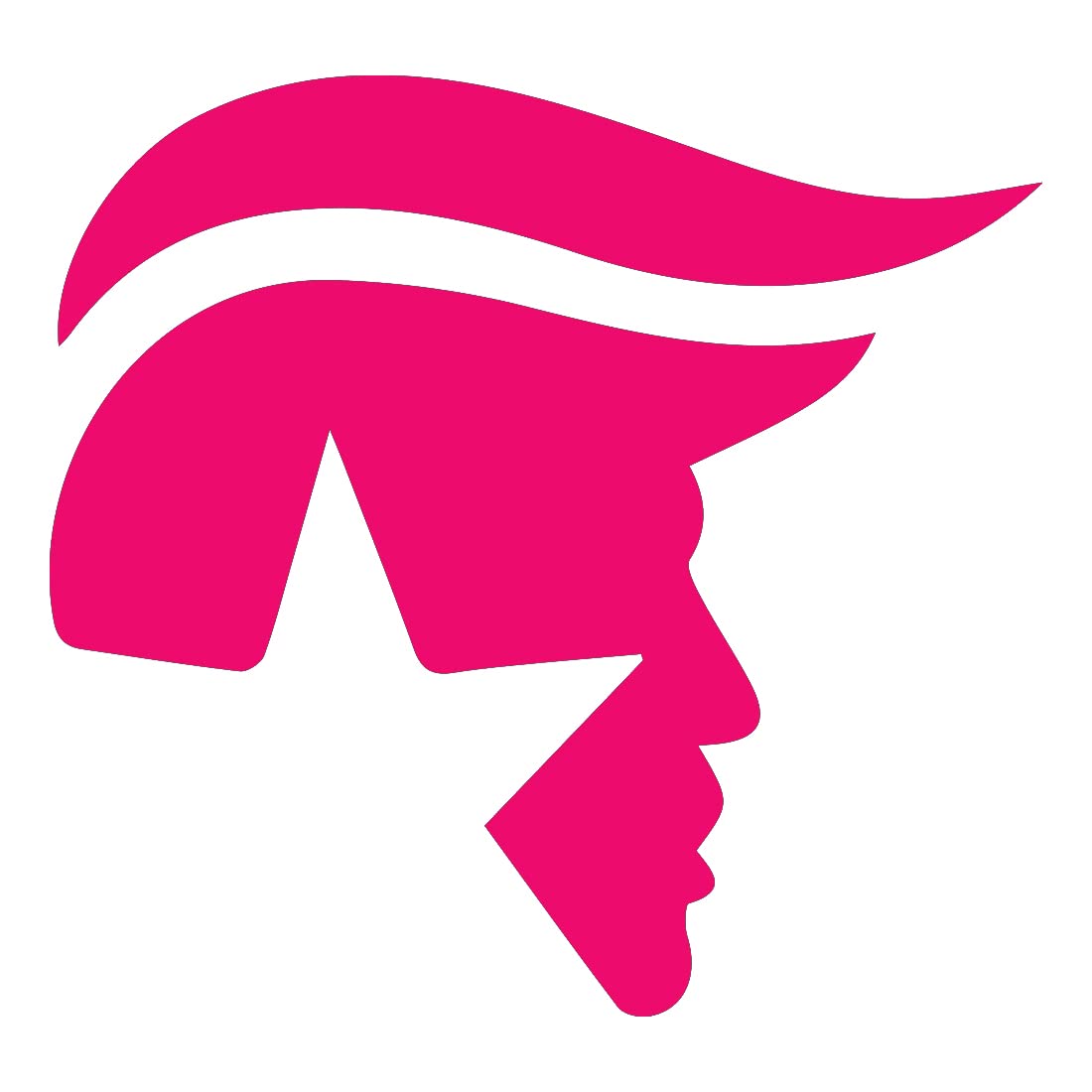Premium Waterproof Vinyl Decal Stickers - Trump Face Hair (Pink) Set of 2 - Laptop, Phone, Helmet, Car Window, Bumper, Mug, Cup, Door & Wall Decor - Perfect for Political Enthusiasts, Gag Gifts & Home/Office Decoration