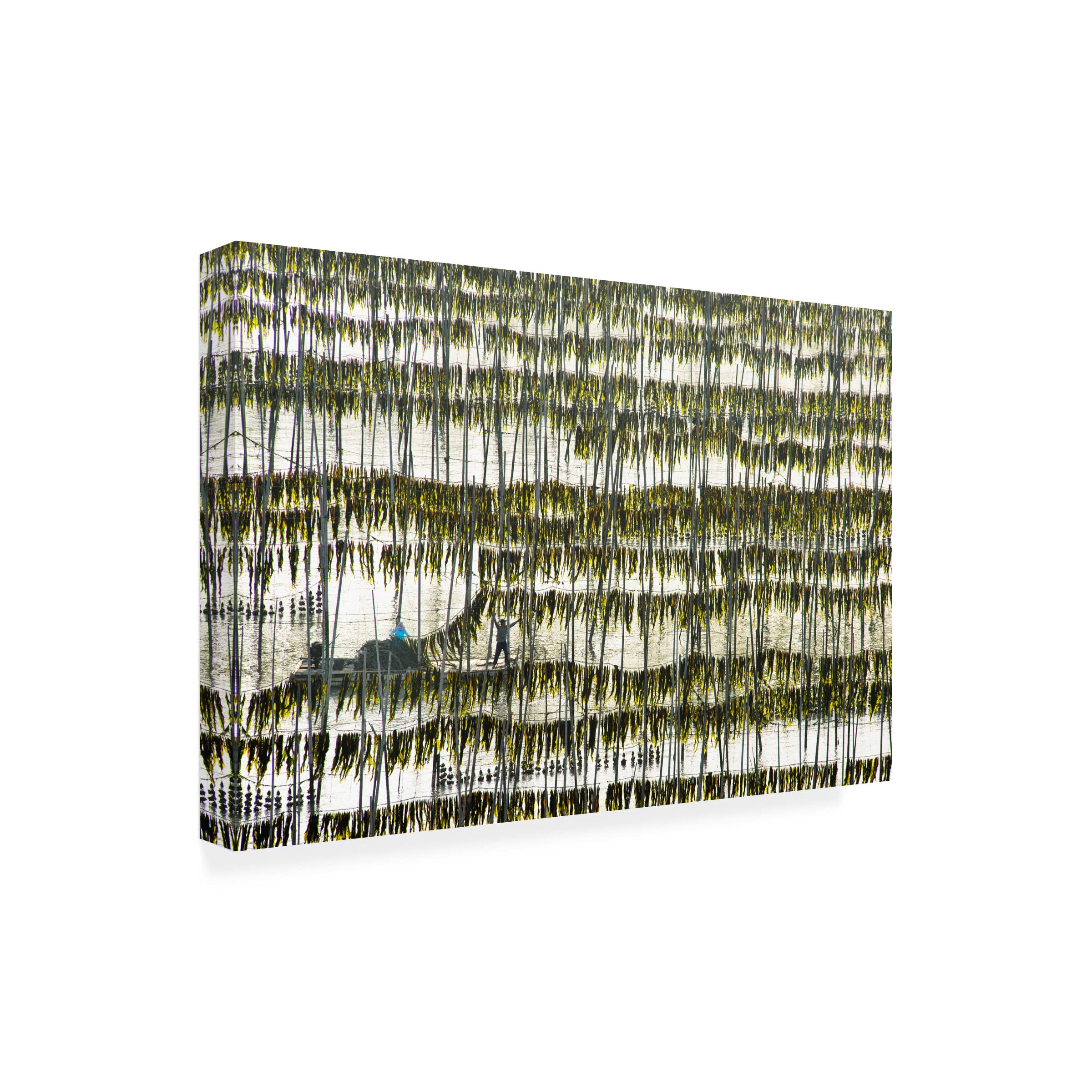 Trademark Fine Art 'Harvesting Kelp' Canvas Wall Art by Xinhua Zhou - Coastal Home Decor for Living Room, Bedroom & Office
