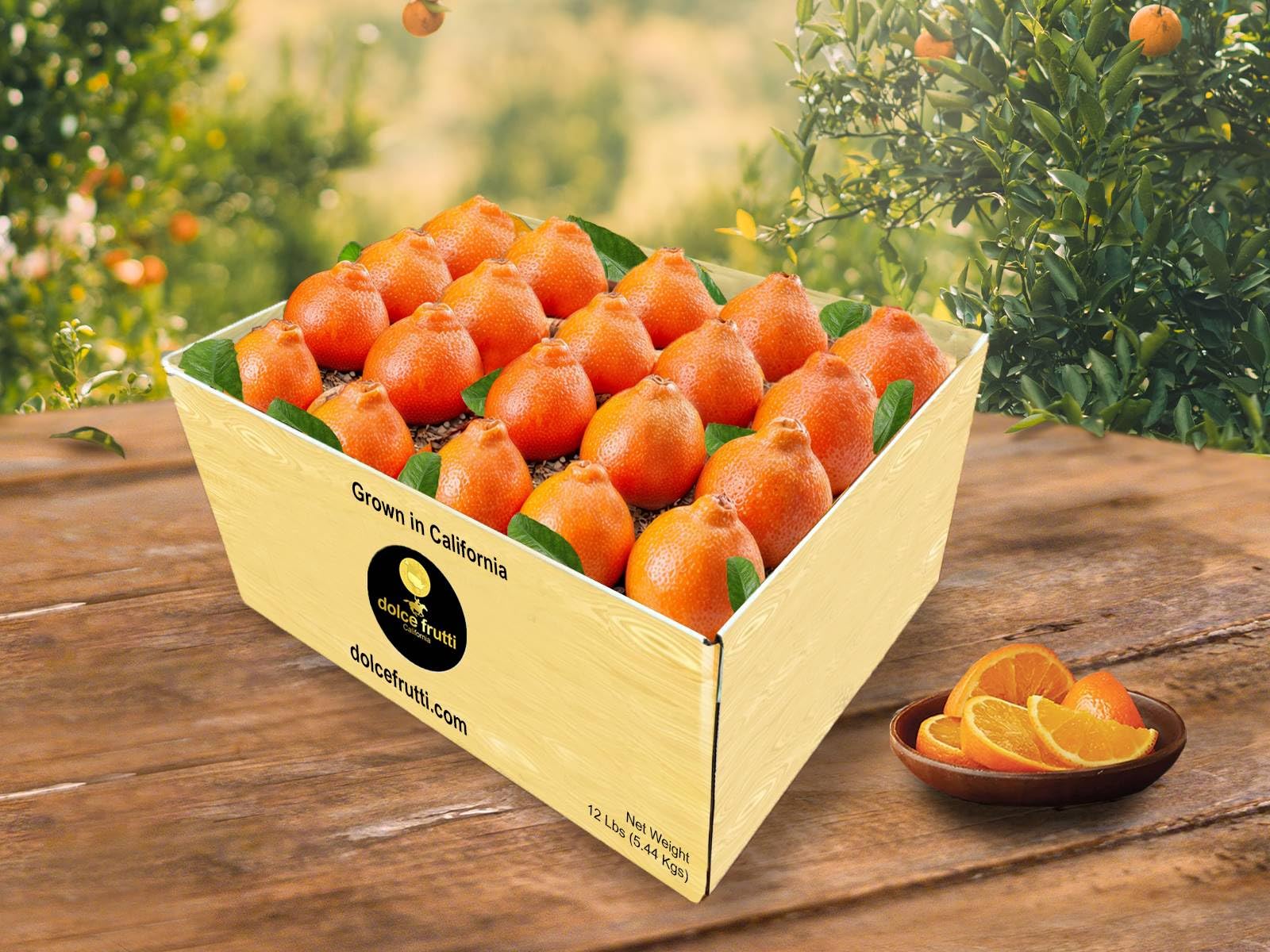 Fresh Minneola Tangelos - Sweet Citrus Hybrid Oranges, 12 Lbs Bulk Box - Perfect for Juicing, Snacking & Healthy Breakfasts
