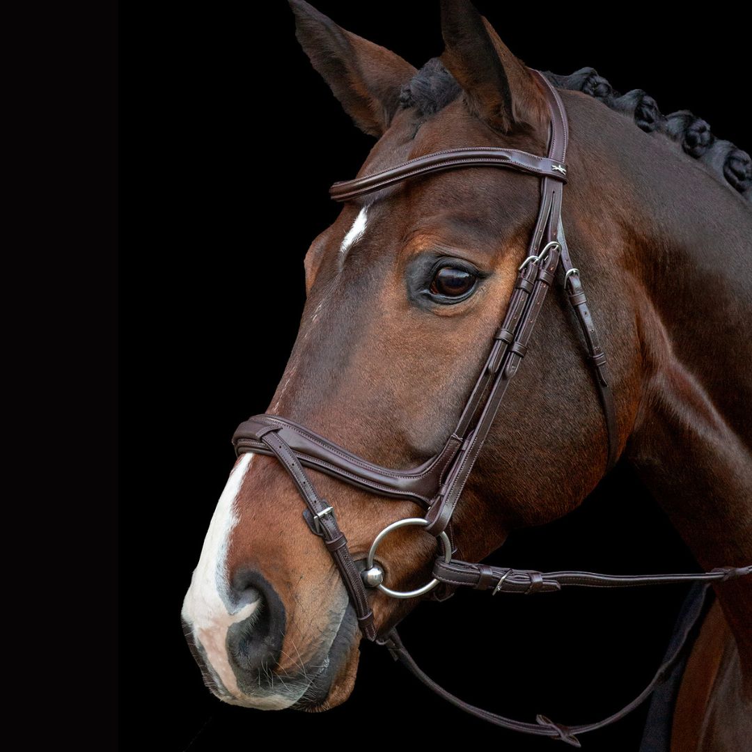Schockemöhle Ancona Select Bridle - Premium Horse Bridle for Dressage & Jumping | Comfort Fit for Training & Competition