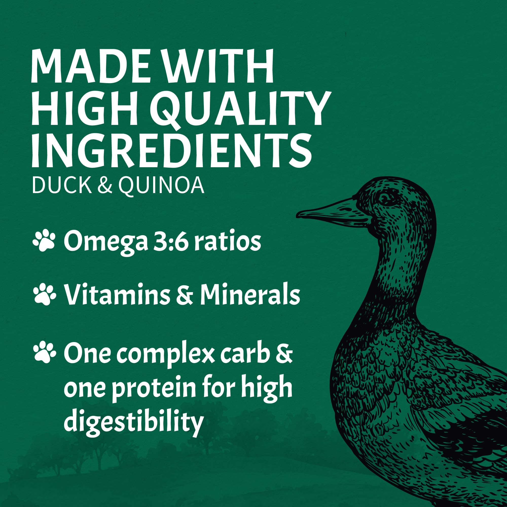 Canine Caviar Open Sky Duck & Teff Alkaline Dry Dog Food - Limited Ingredient, Gluten-Free, Vet Recommended Diet for Sensitive Stomachs - Perfect for Dogs with Allergies or Digestive Issues (22lb Bag)