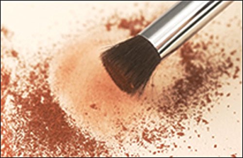 Professional Artist Pastel Blender Brush Set of 6 - for Chalk & Charcoal Drawing