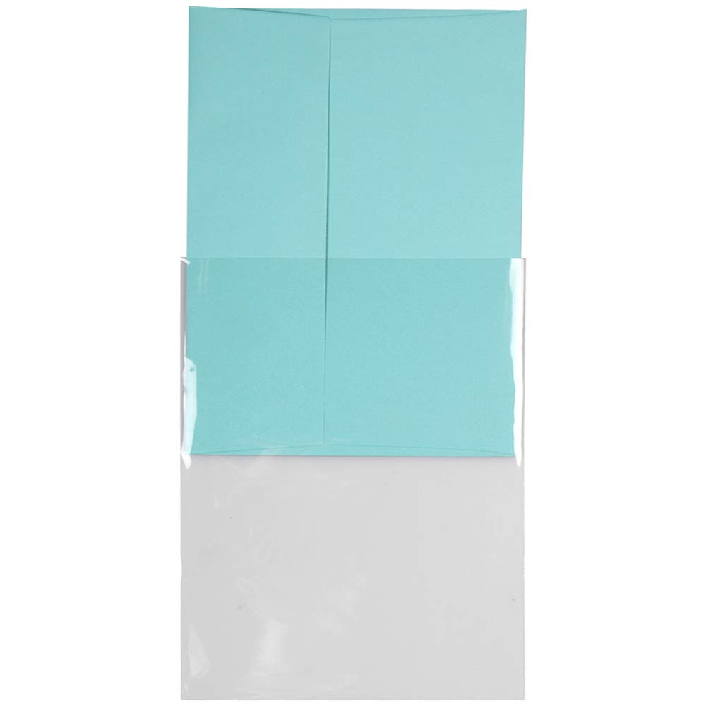 JAM PAPER Clear A2 Cello Sleeves 4 5/8