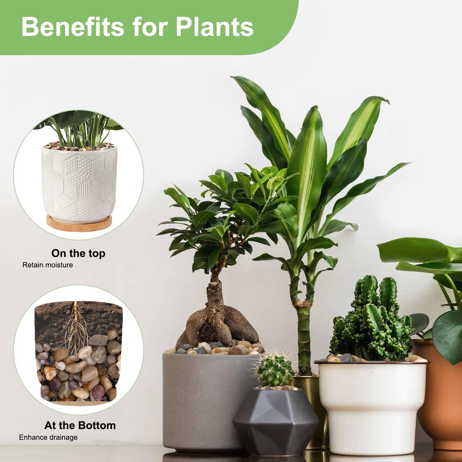 5 lbs Decorative Drainage Rocks for Potted Plants - 1/5 Inch Small Pebbles for Indoor Plants, Succulents, Cactus, Terrariums & Vases | Perfect for Bamboo Arrangements, DIY Crafts & Home Decor