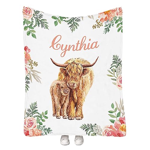 Highland Cow