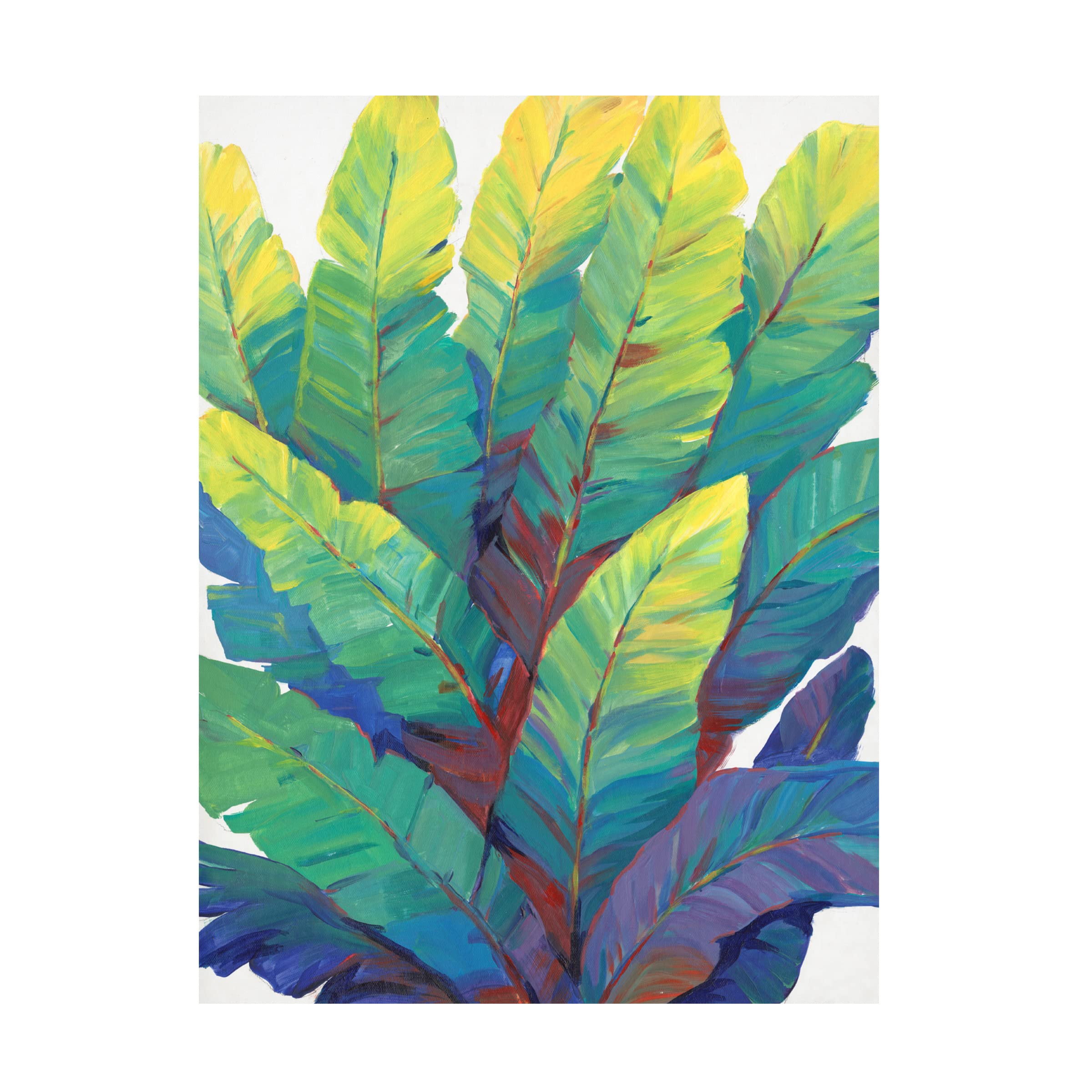 Trademark Fine Art 'Sunlit Banana Leaves II' Canvas Wall Art by Tim OToole - Tropical Botanical Painting for Living Room, Bedroom & Office Decor