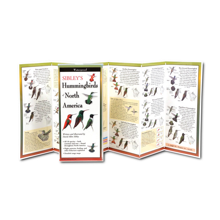 Sibley's Hummingbirds of North America Field Guide - Compact Folding Bird Identification Chart for Birdwatching, Hiking & Nature Exploration