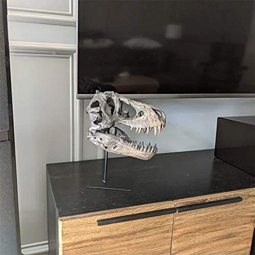 Gothic Dinosaur Skull Statue - Resin Home Decor Sculpture for Living Room, Office, TV Cabinet & Wine Bar | Unique Halloween, Birthday Gift for Dinosaur Lovers & Gothic Decor Enthusiasts | Perfect for Dark Academia Theme & Man Cave Decor