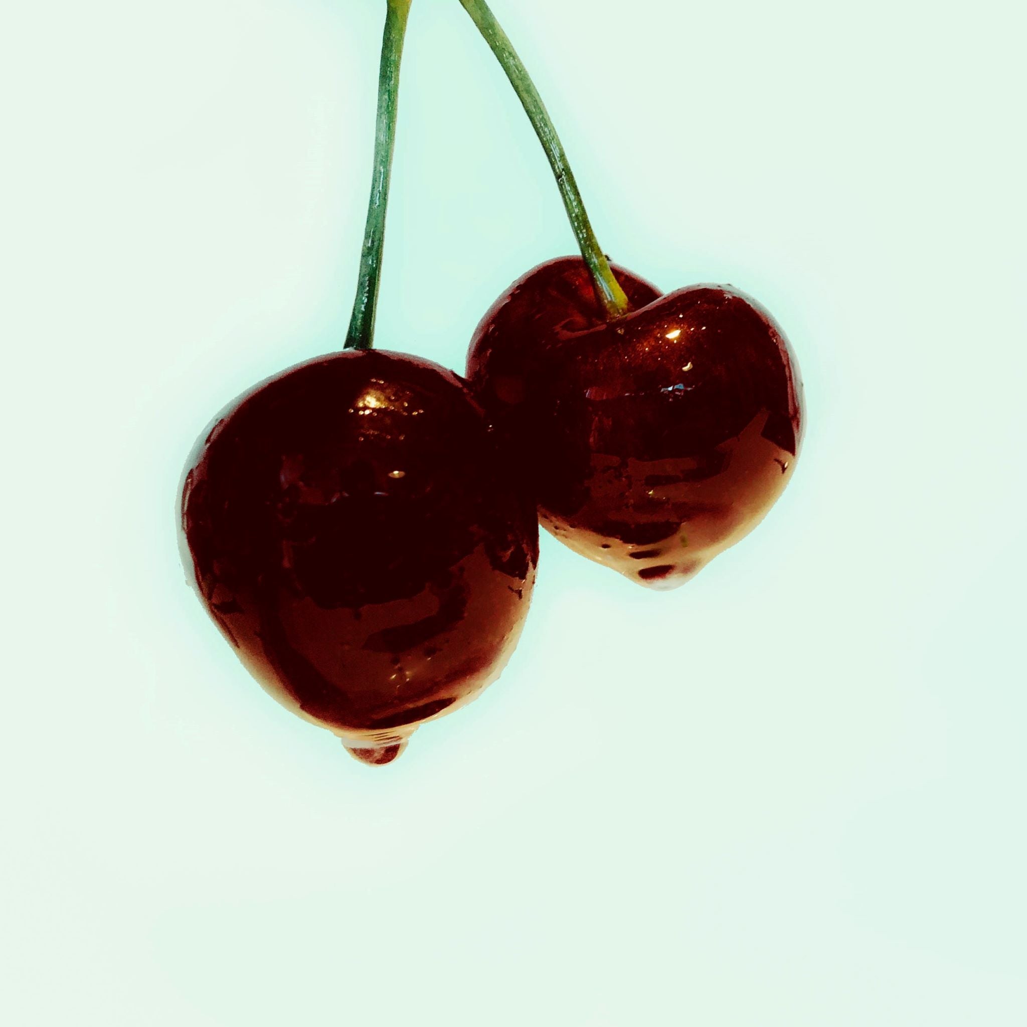 Premium Black Cherry Fragrance Oil for Candles, Soaps & Diffusers - 100% Pure Essential Oil for Aromatherapy & Home Scenting