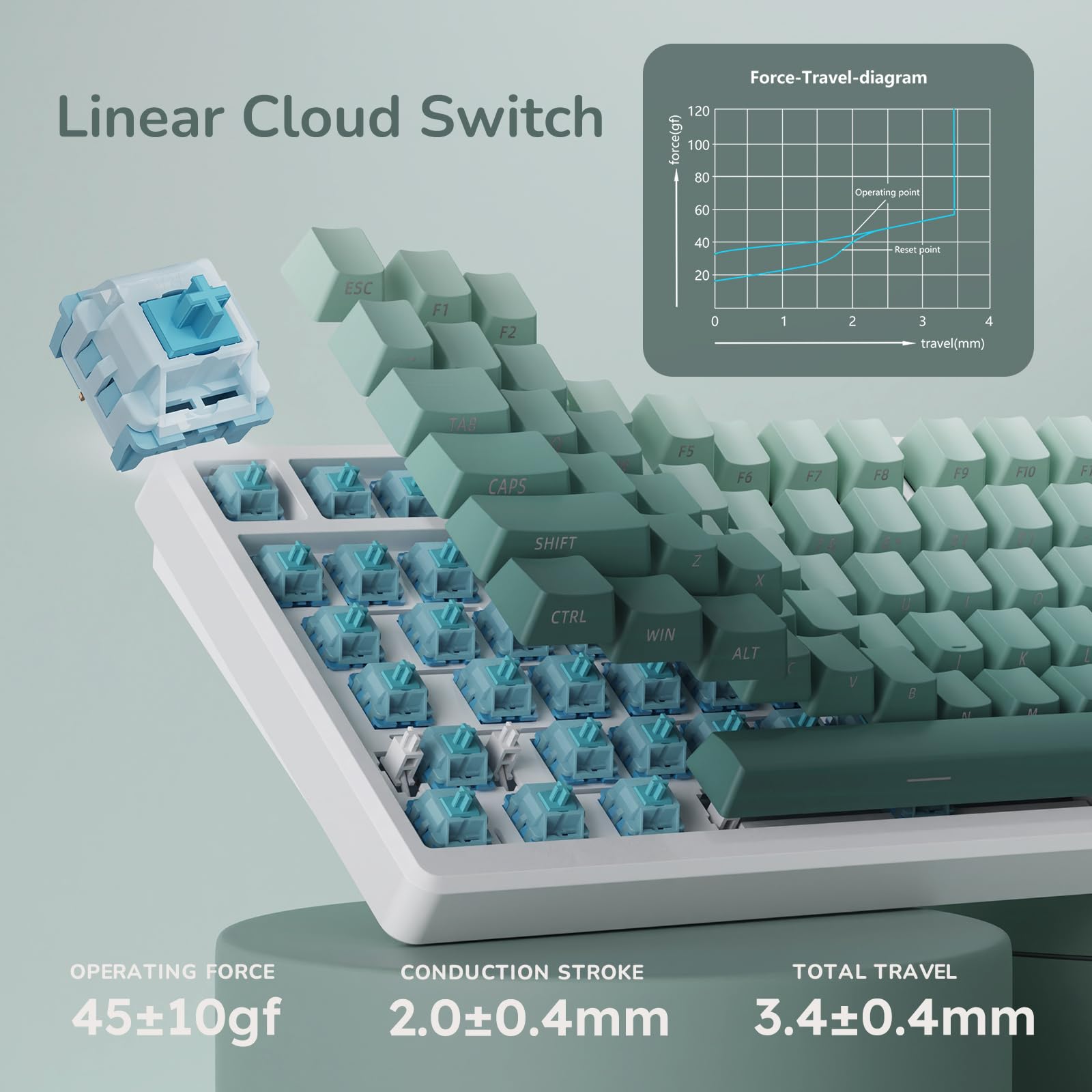 RK ROYAL KLUDGE M75 Wireless Mechanical Gaming Keyboard - 75% Compact 81 Keys with OLED Display, Rotary Knob & RGB Backlit | 2.4GHz/BT5.1/Wired Triple Mode | Hot-Swappable Cloud Switch & Gasket Mount | PBT Side-Printed Keycaps for PC/Mac Gaming & Office Typing