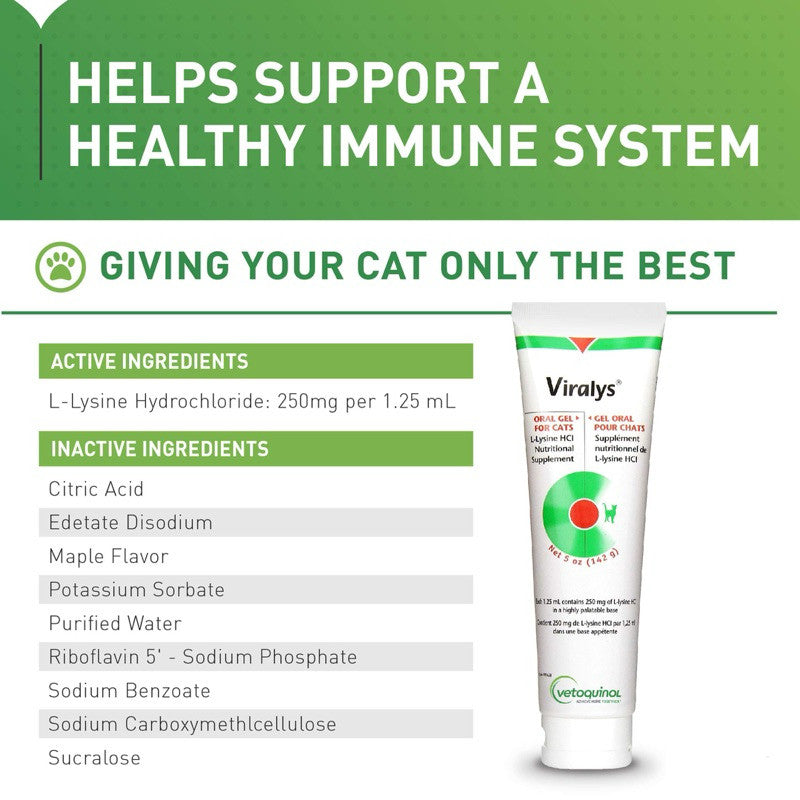 Viralys Gel 5oz - Immune Support Supplement for Cats & Kittens | Maple Flavor | Promotes Healthy Immune System | Ideal for Daily Use & Recovery Scenarios