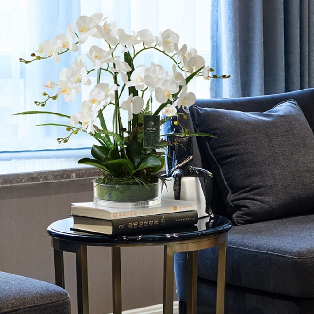 Large Artificial Silk Moth Orchid Flowers in Clear Glass Vase - Real Touch Phalaenopsis Arrangement (White) - Perfect for Home Decor, Wedding Centerpieces & Office Elegance