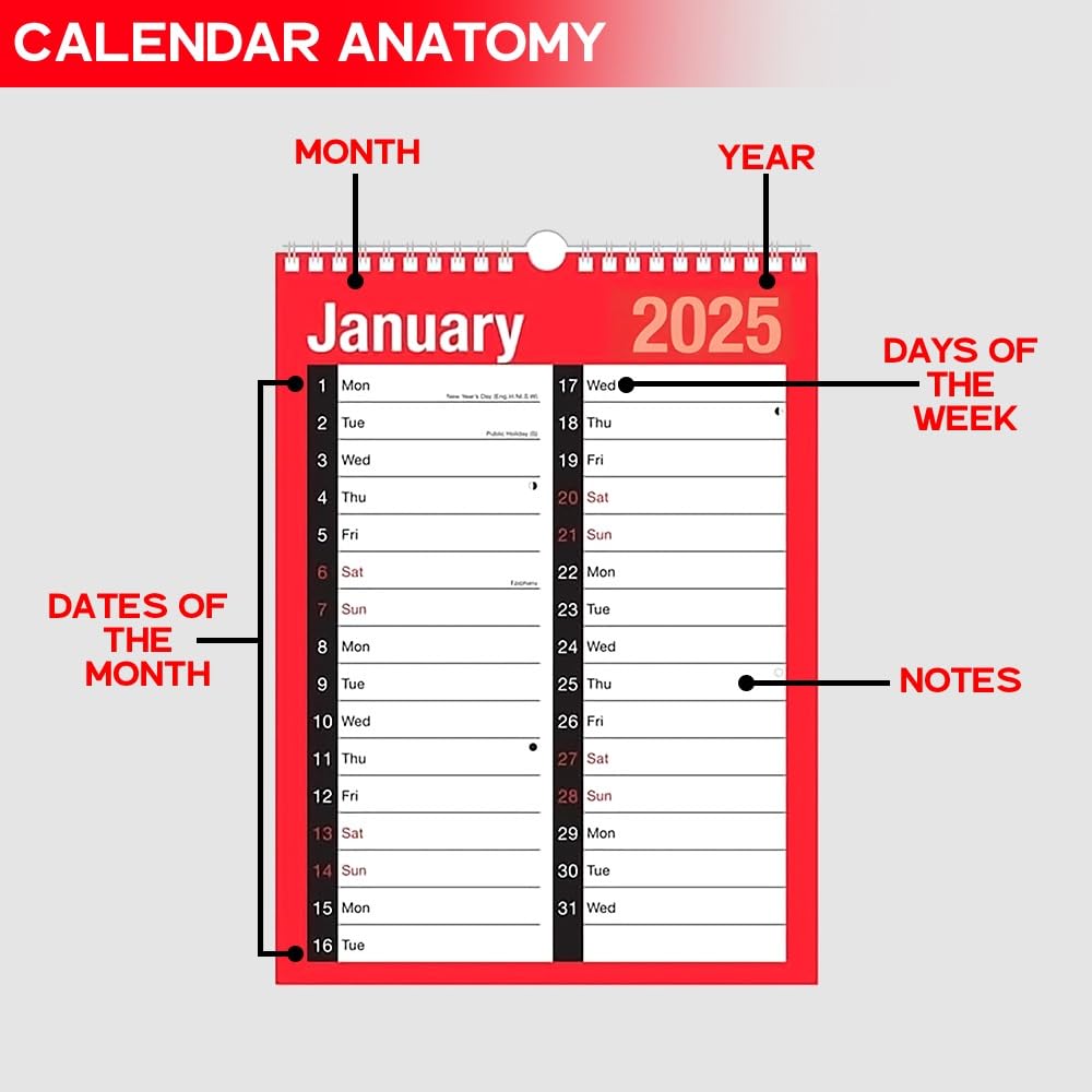 ZYBUX 2025 Spiral Bound Wall Calendar Planner - A4 2-Column Design with Holidays & Notable Dates | Perfect for Home, Office, School & Business Planning | Durable Organizer for Year-Round Scheduling