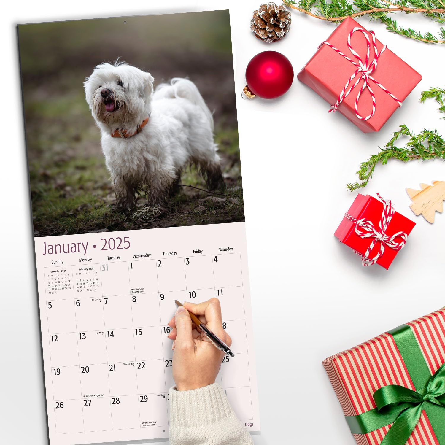 RED EMBER Dirty Dogs 2025 Wall Calendar - 12 Month Funny Dog Lovers Calendar (12