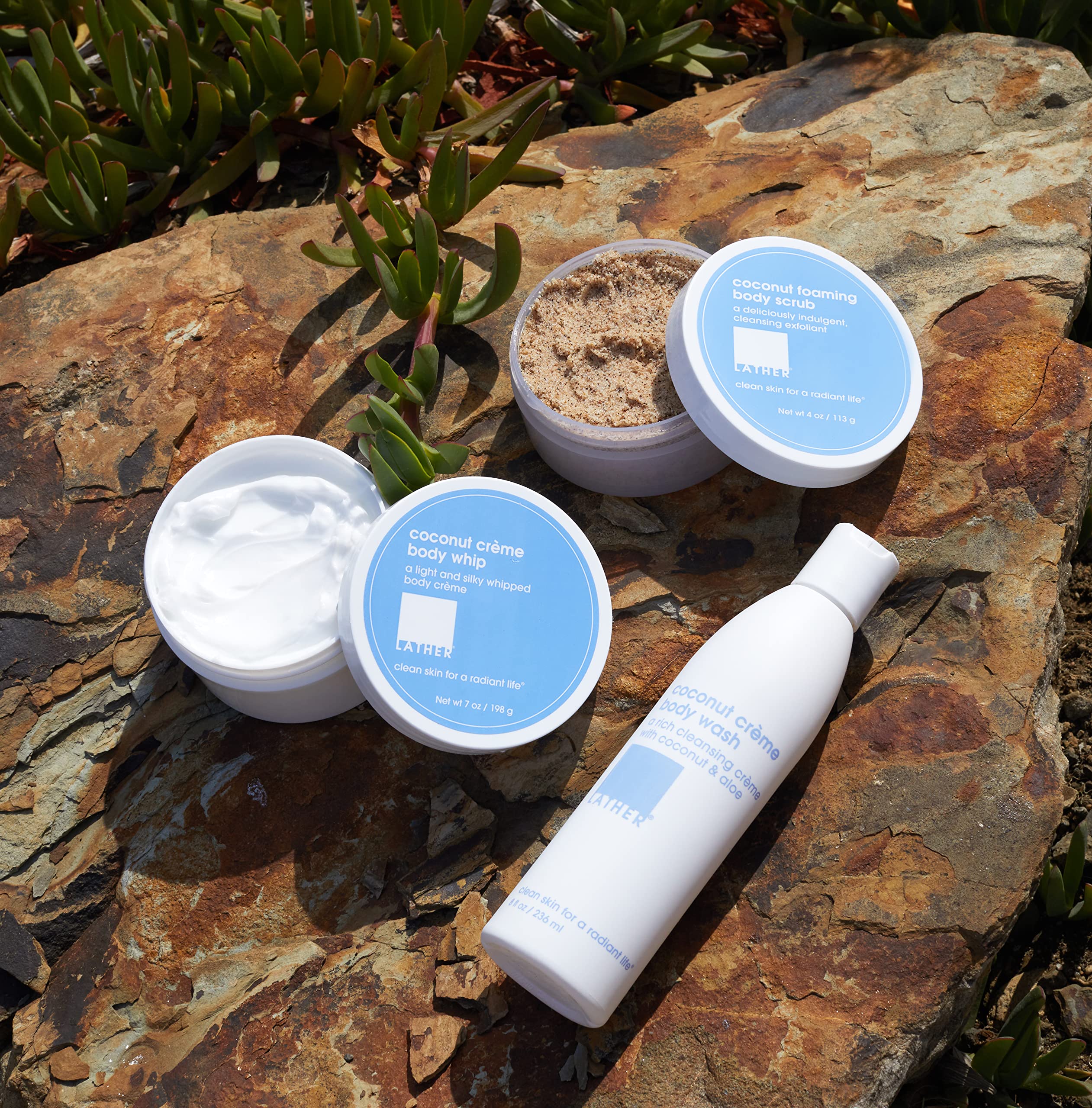 Organic Coconut Crème Body Whip & Body Wash Set - 7oz Moisturizing Lotion + 8oz Gentle Shower Gel | Natural Hydration for Dry Skin | Perfect for Spa Day, Gift Sets & Daily Skincare Routine