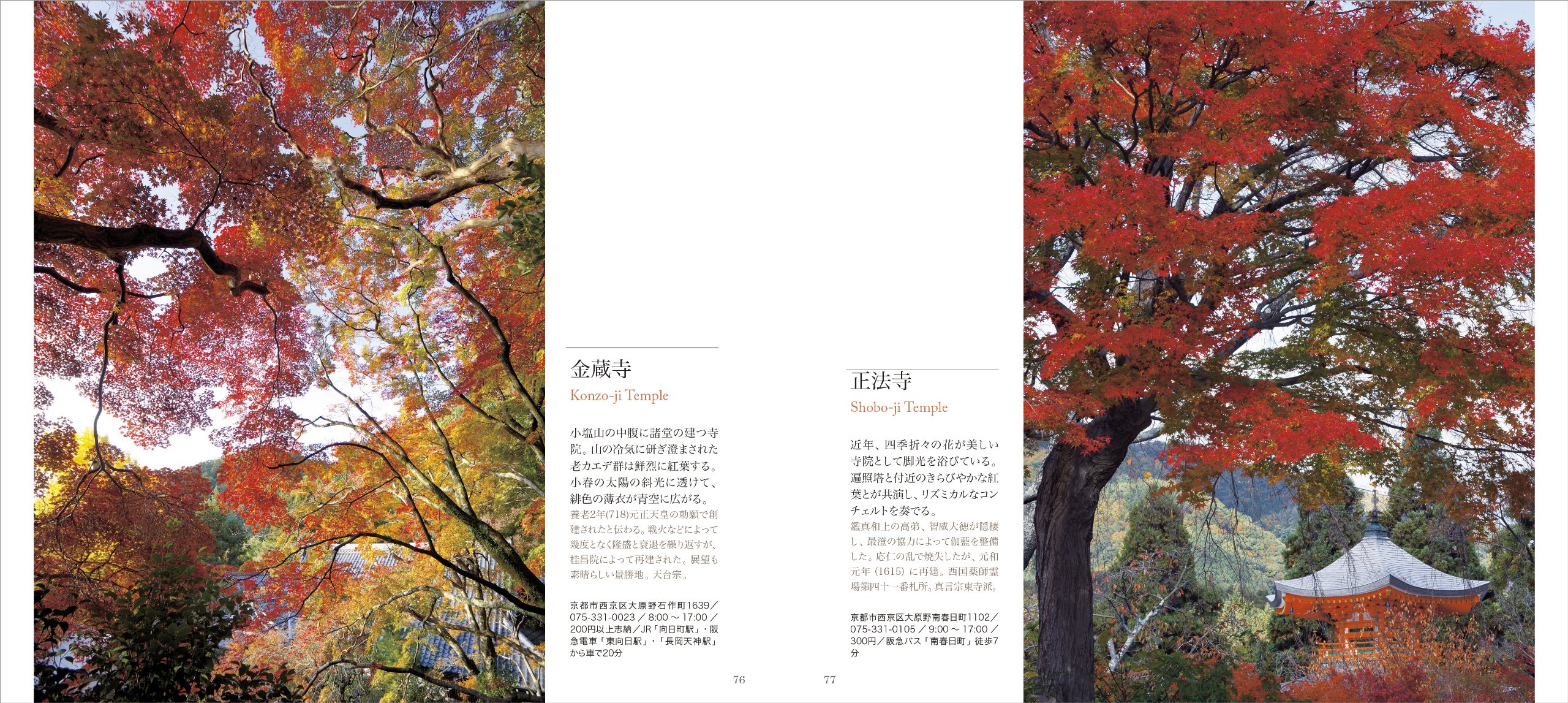 Kyoto Maple Walk Book - Scenic Travel Guide for Nature Lovers