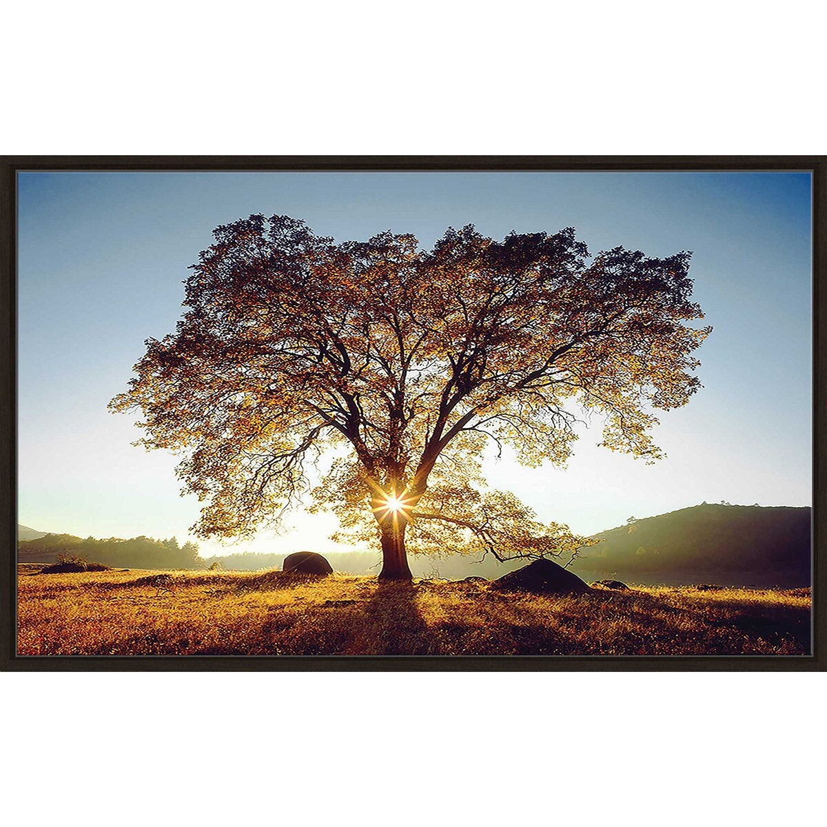 Black Oak Sunset Print on Floating Canvas - Modern Wall Art for Living Room, Bedroom & Office Decor