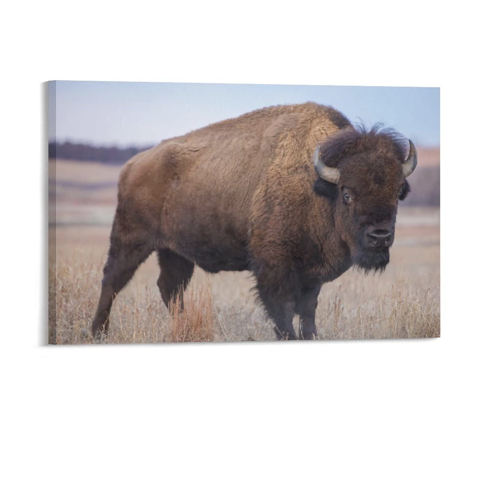 Great American Plains Bison Canvas Wall Art - 16x24 Inch (40x60cm) Landscape Wildlife Painting for Living Room, Bedroom & Office Decor - Perfect Gift for Nature Lovers & Sports Enthusiasts | Home Decoration, Housewarming Present, Man Cave Art