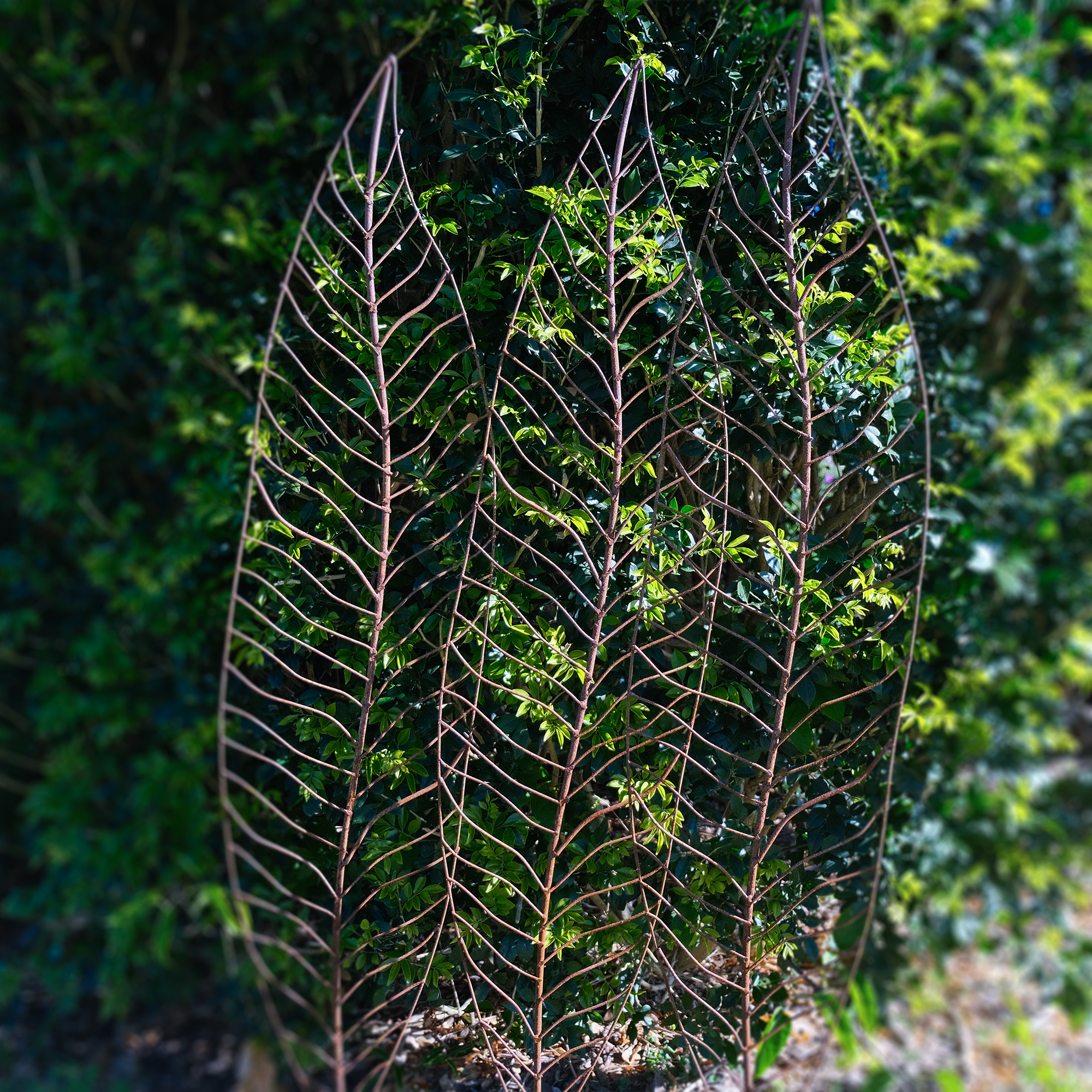 W4084 Narrow Leaves - Natural Rusted Artificial Greenery (Pack of 3) for Home Decor, Wedding Centerpieces & DIY Crafts