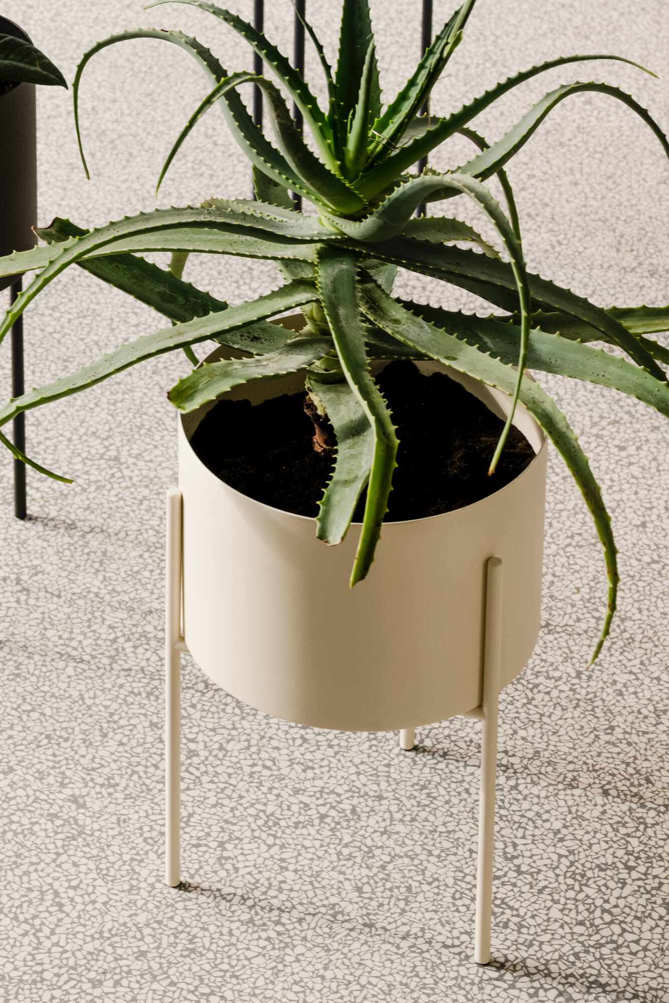 Maki Planter - Wide Modern Ceramic Flower Pot for Indoor Plants, Succulents & Herbs - Perfect for Home Decor, Office Desk & Garden Decorations