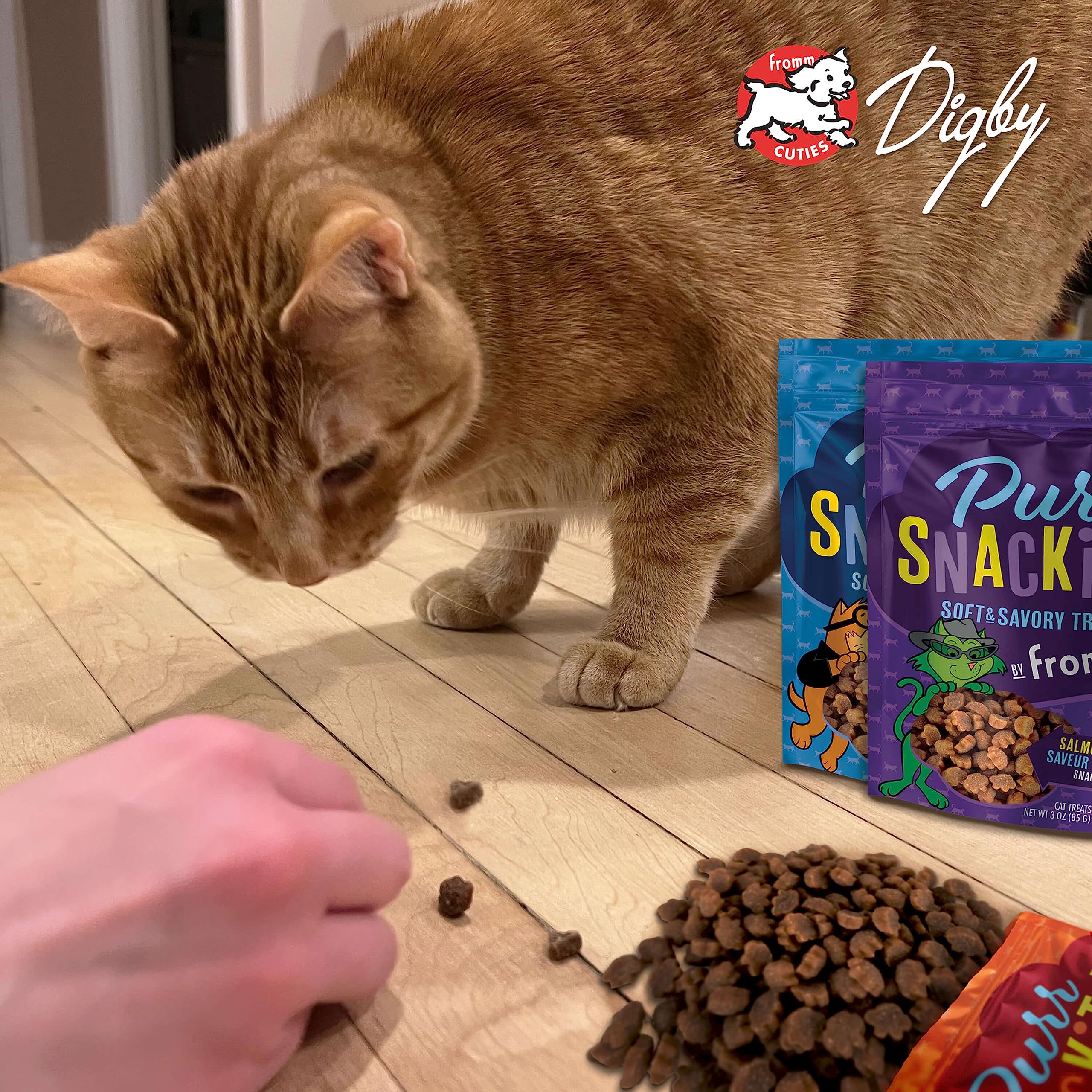 Fromm PurrSnackitty Cat Treat Variety Pack - Soft & Savory Cat Treats with Chicken, Salmon & Liver - 3 Pack (3 oz Each) - Grain-Free Natural Cat Snacks for Training & Rewarding Indoor/Outdoor Cats
