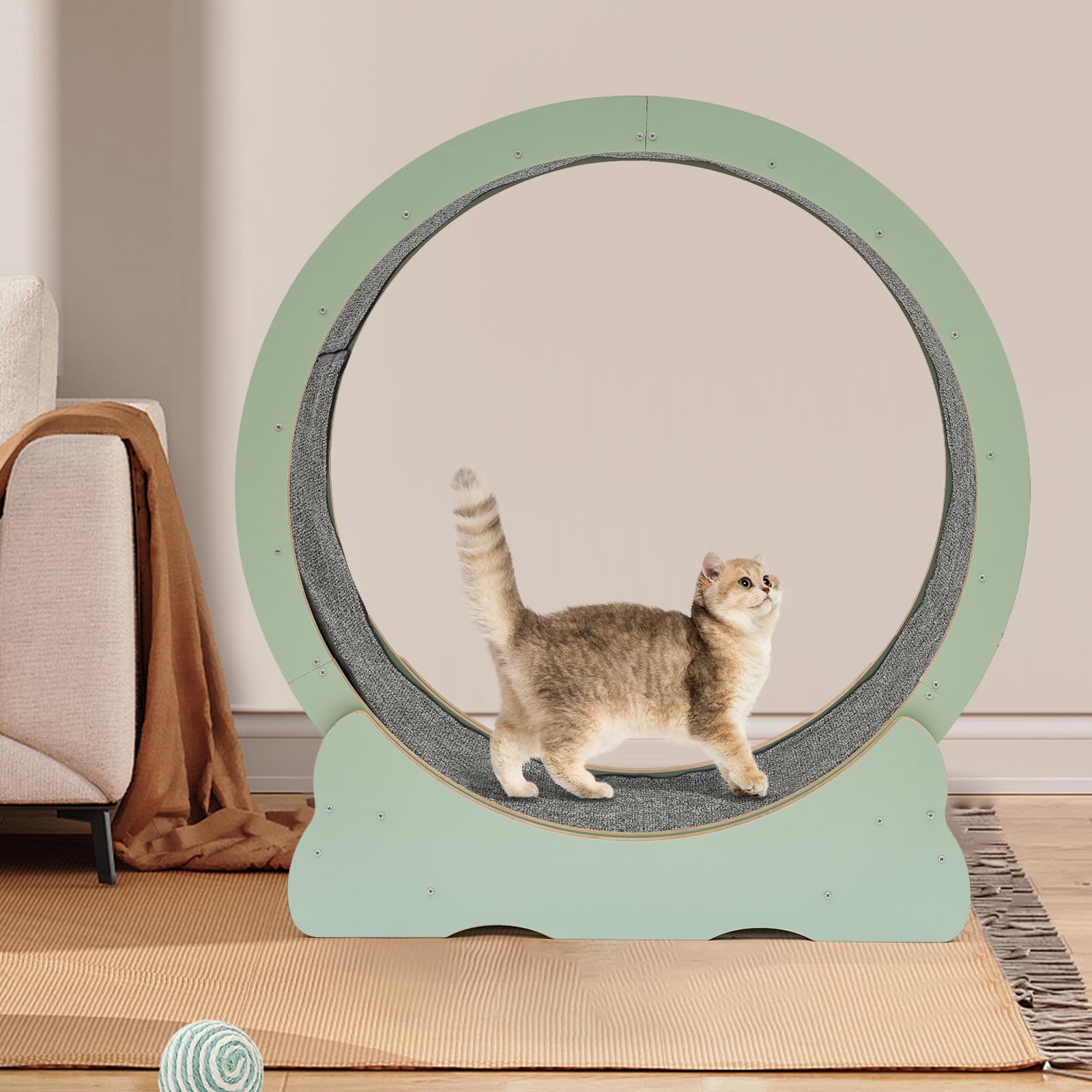 Premium Cat Exercise Wheel for Indoor Cats - Large Cat Running Wheel Treadmill for Weight Loss & Fitness - Durable Rotating Wheel for Home Use - Perfect for Playtime & Exercise (Green) - Ideal for Small Spaces & Active Cats