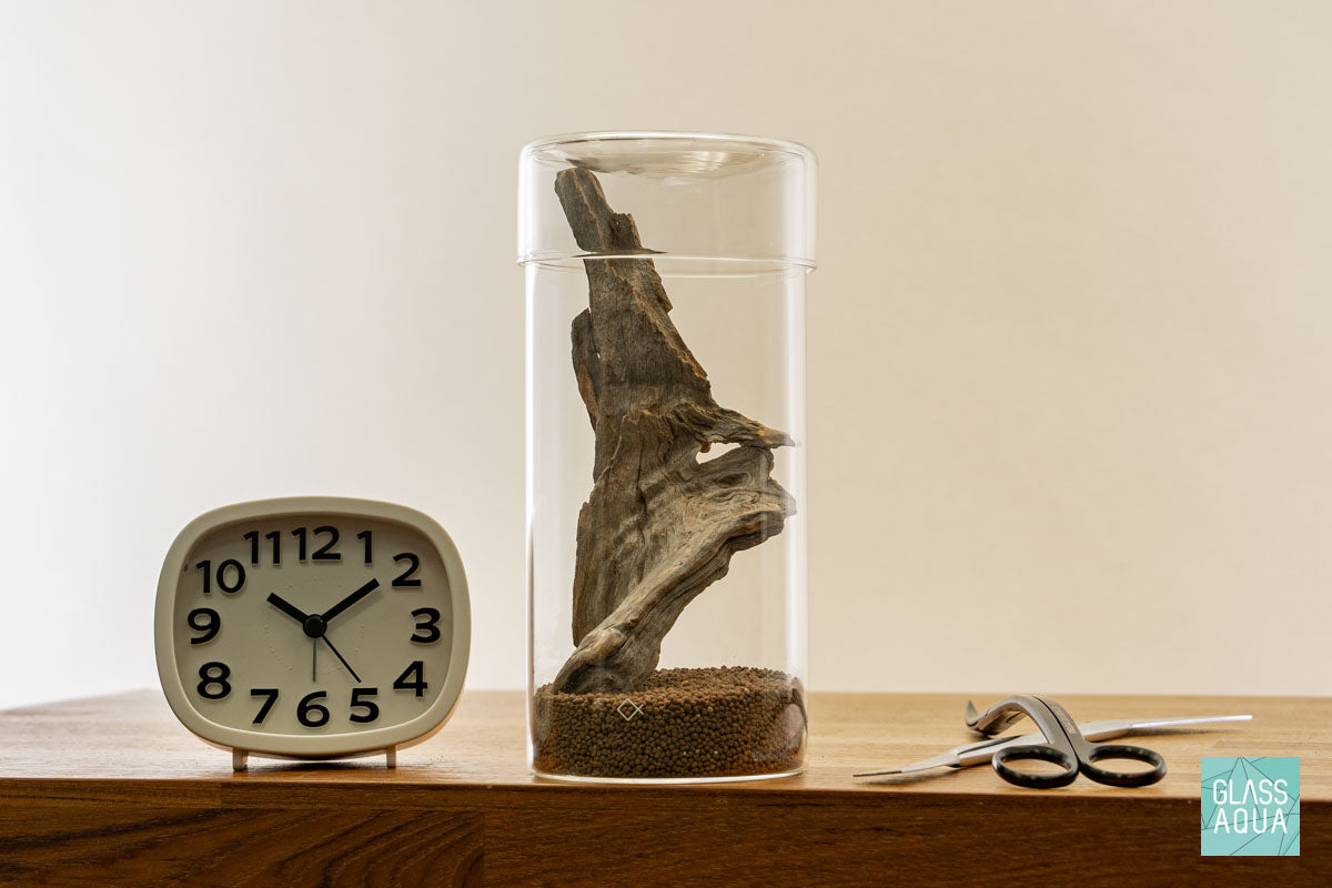 Miniature Terrarium Kit for DIY Home Decor - Create Your Own Tiny Garden in Glass Jar | Perfect for Office Desk, Living Room & Gift Giving