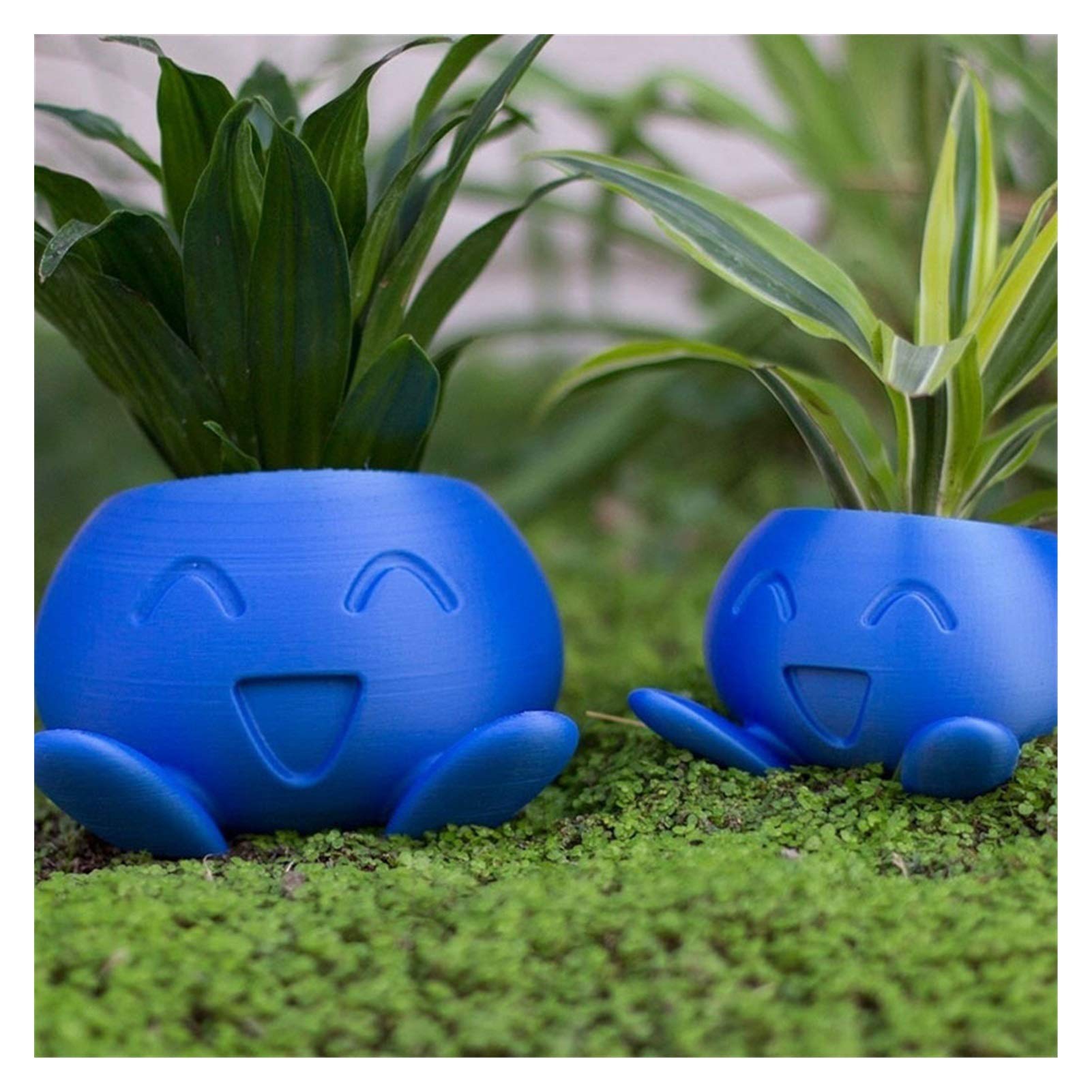 Oddish Succulent Planter - Small Blue Flower Pot for Succulents, Cacti & Air Plants | Perfect for Home, Office & Garden Decor