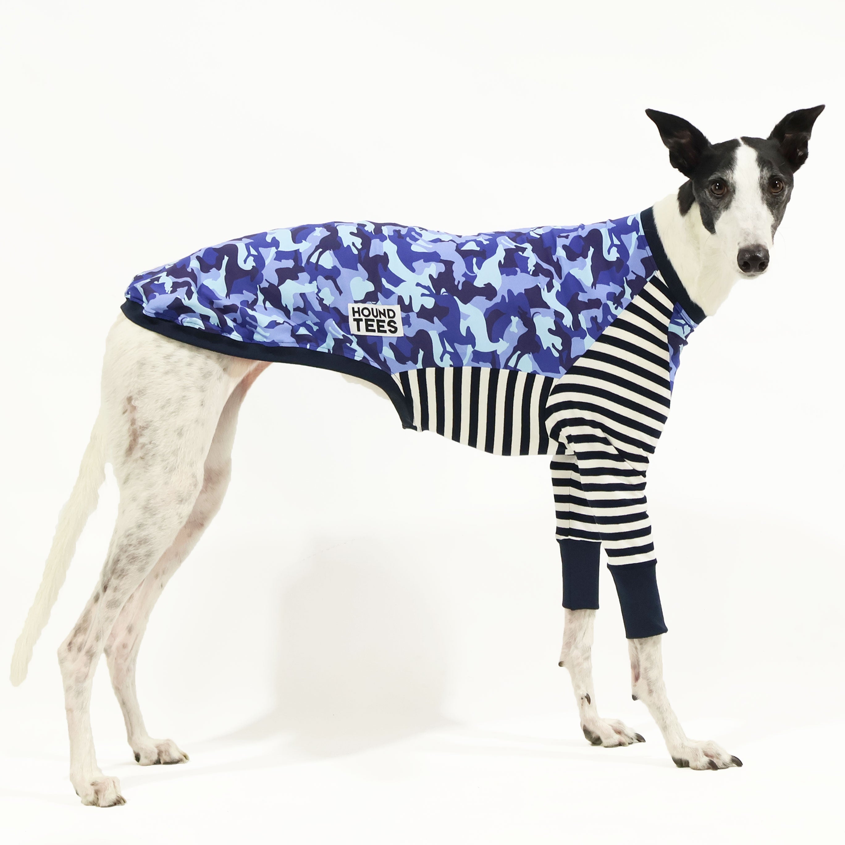 Houndini Blues Greyhound Long Sleeve T-Shirt for Dog Lovers - Comfortable Cotton Tee for Casual Wear, Dog Walks, and Greyhound Enthusiasts