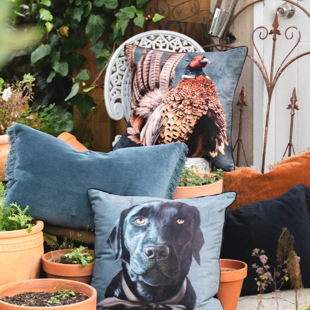 Premium 50x50cm Dog Cushion for Labrador - Soft Pet Bed by MM Linen - Perfect for Dog Beds, Sofas & Home Decor