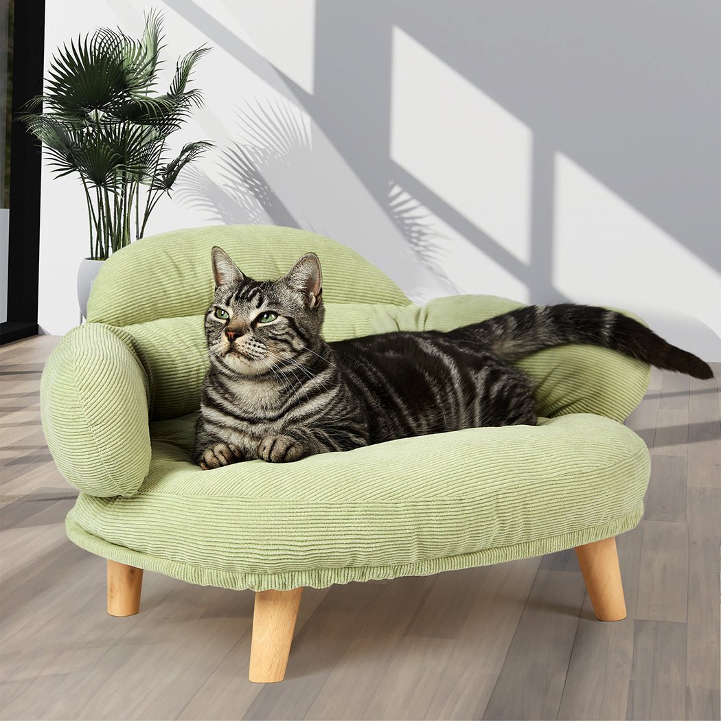 Premium Plush Elevated Pet Sofa Bed for Dogs & Cats - Breathable Green Pet Bed with Washable Cover - Perfect for Living Room, Bedroom & Pet-Friendly Spaces