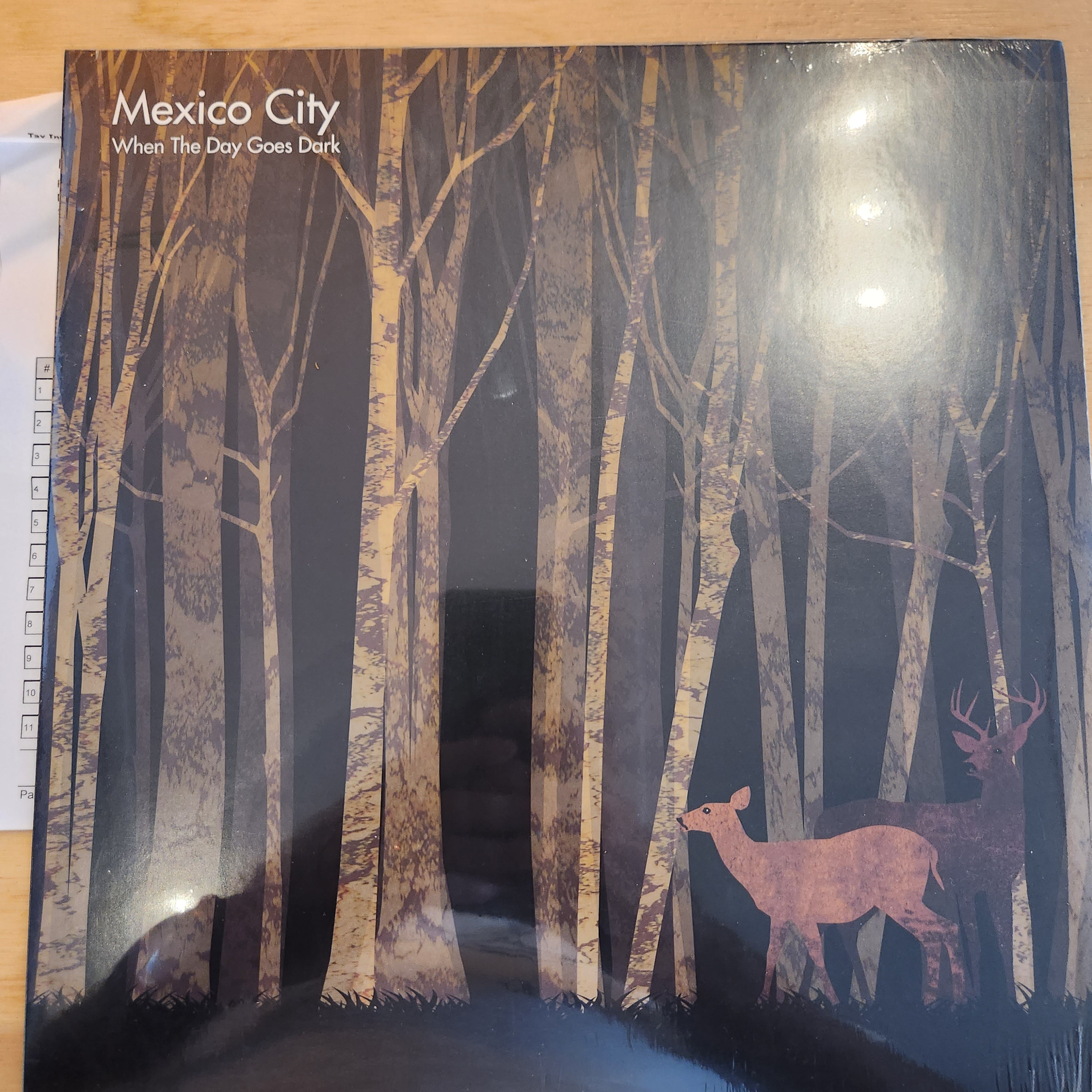 Mexico City - When the Sky Goes Dark Vinyl LP Record | Limited Edition Alternative Rock Album | Perfect for Music Collectors & Vinyl Enthusiasts