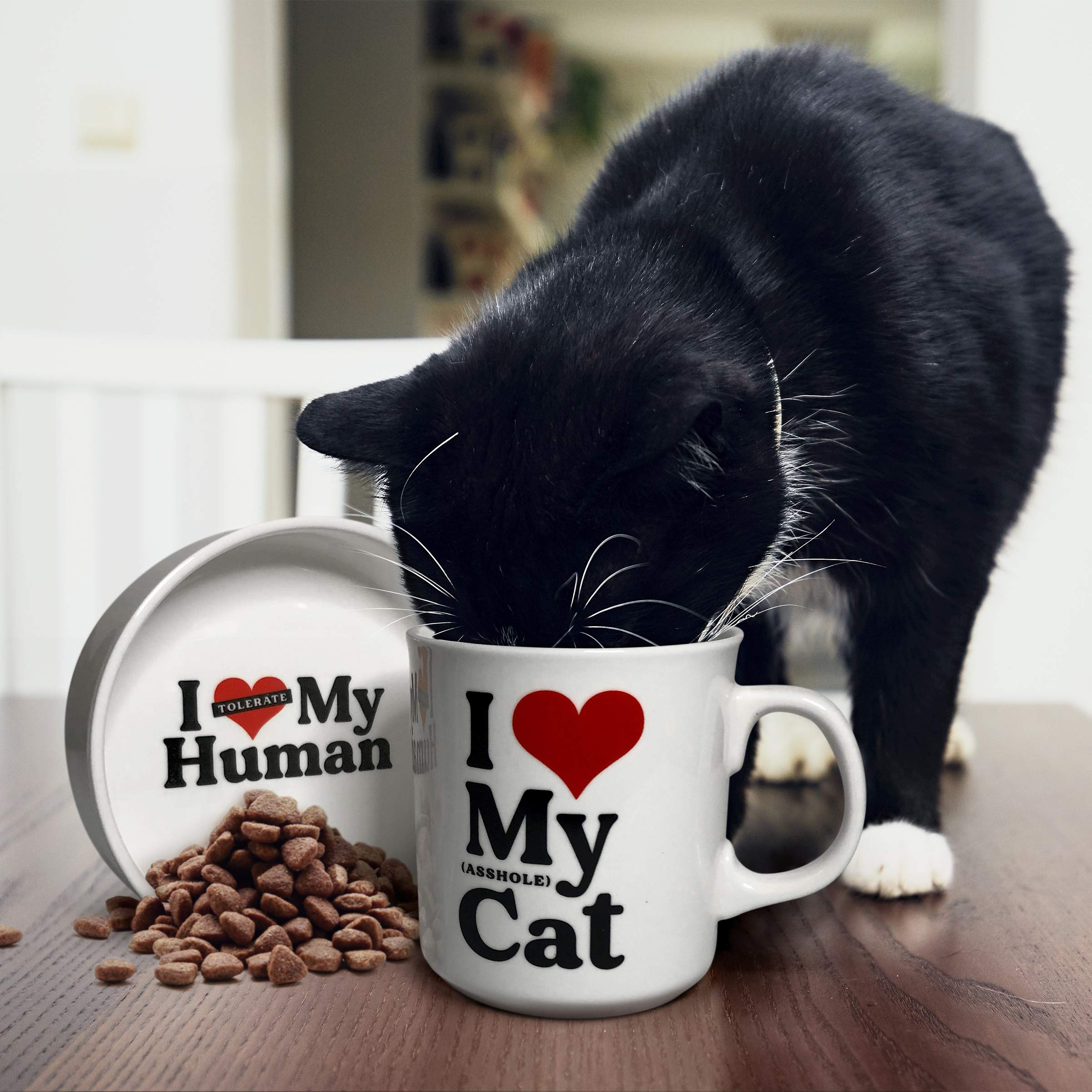 Genuine Fred Howligans Cat Lover Mug & Bowl Set - White Ceramic Coffee Cup & Pet Dish for Cat Owners - Perfect for Morning Coffee & Feeding Your Feline