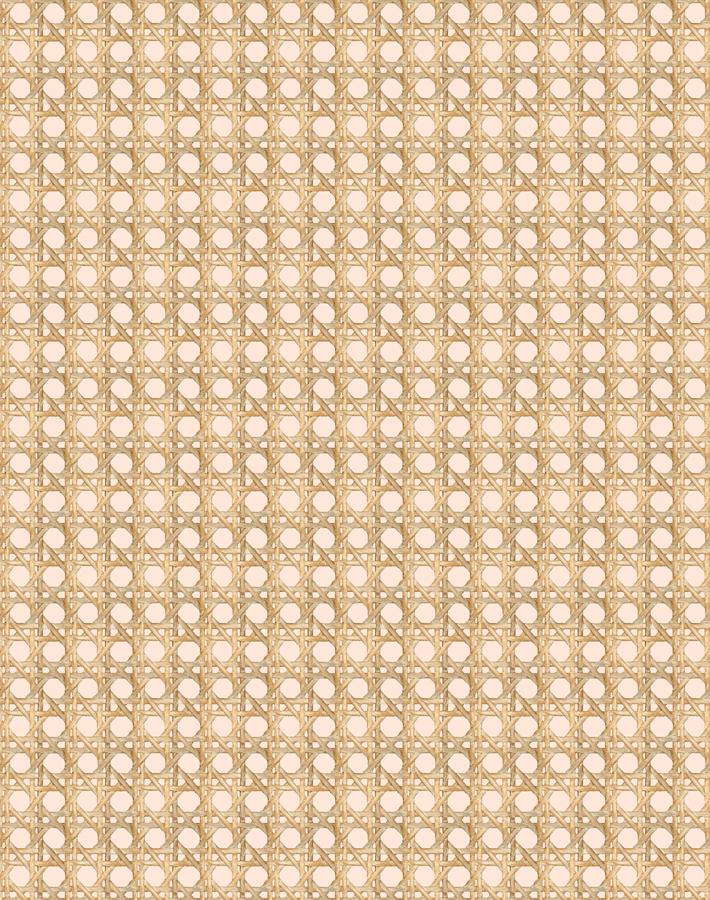Wallshoppe Faux Caning Wallpaper - Peach Textured Peel and Stick Wallpaper for Bedroom, Living Room, and Bathroom Decor