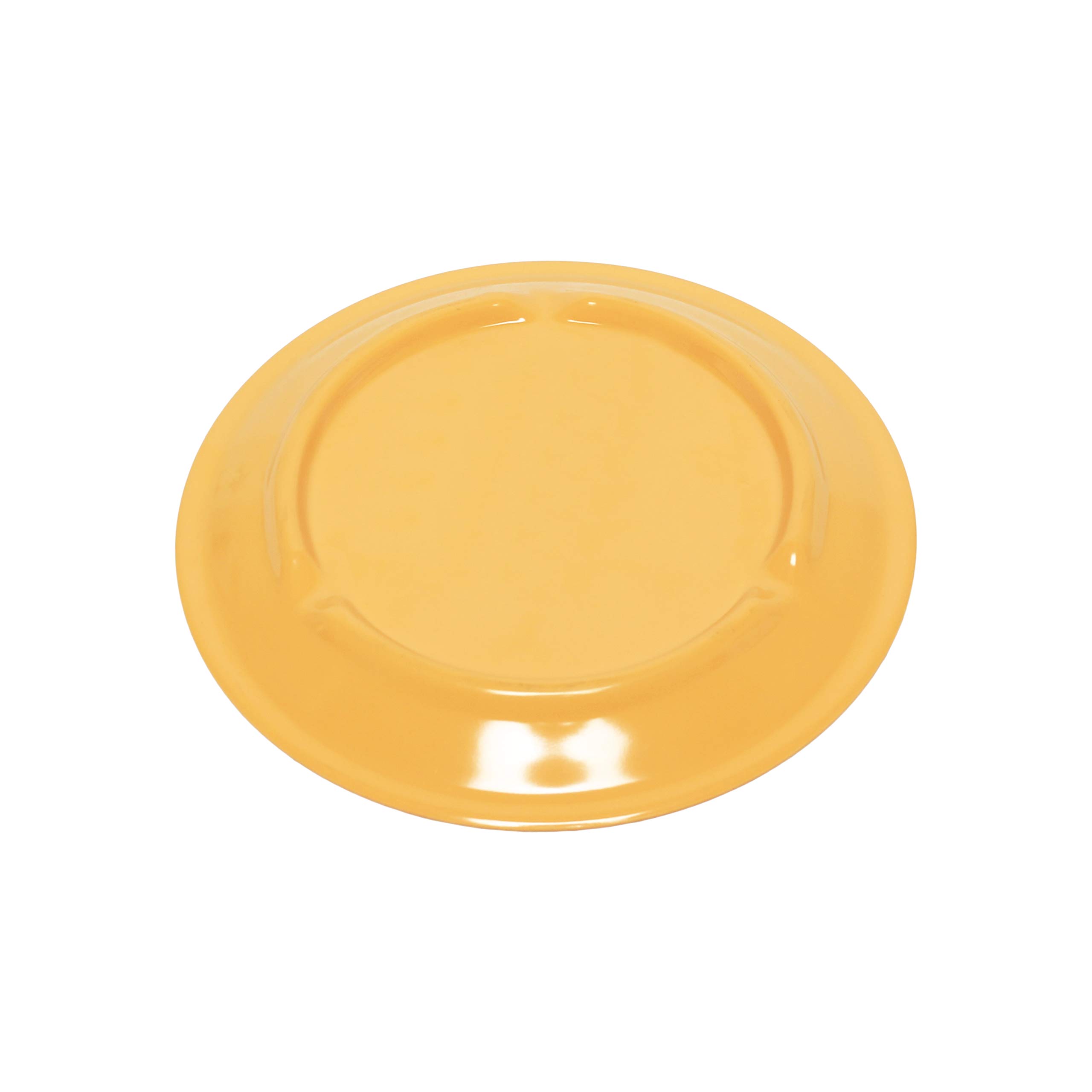 Premium 9-Inch Yellow Melamine Dinner Plates - Set of 12, Narrow Rim Round Plates for Restaurants, Picnics & Outdoor Dining | Durable & Lightweight Dishware