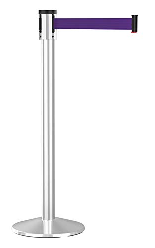 Silver Post w/ Purple Belt