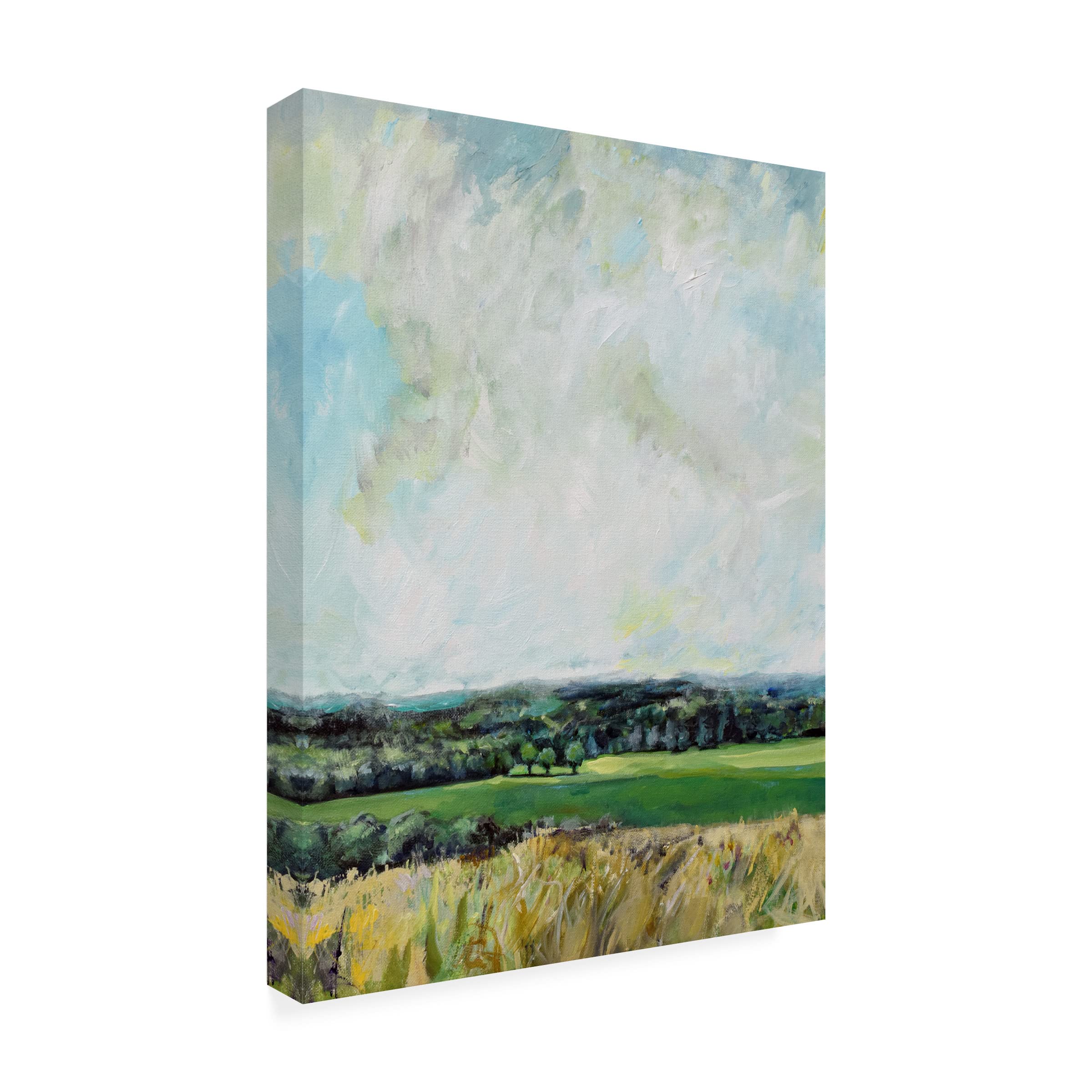 Trademark Fine Art 'Mount Jeez Overlook I' Canvas Wall Art Print by Evelia Designs - Perfect for Living Room, Bedroom & Office Decor