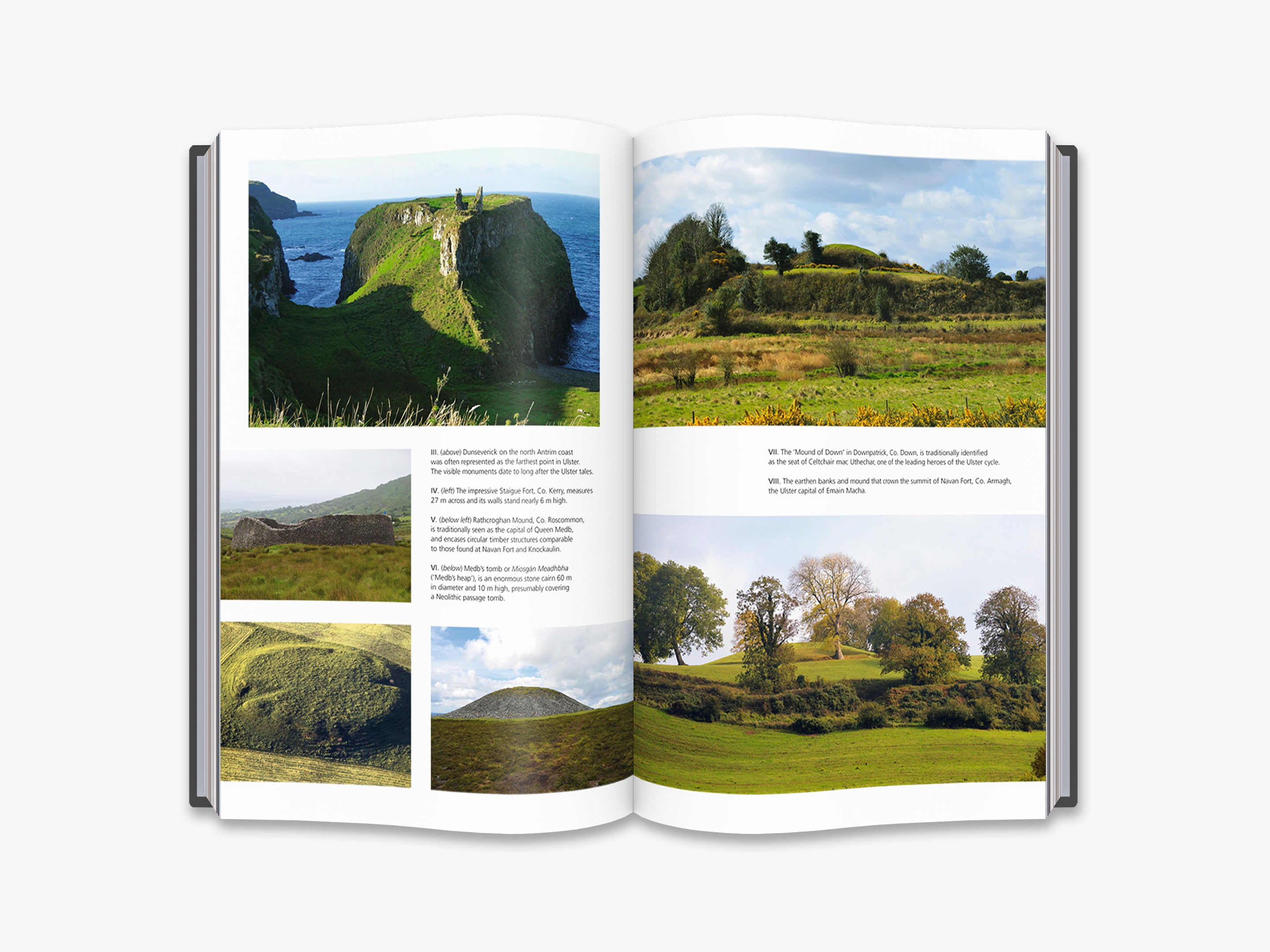 Exploring the Irish Dreamtime: Ancient Celtic Mythology & Folklore for History Enthusiasts | Perfect for Book Clubs, Cultural Studies & Mythology Lovers